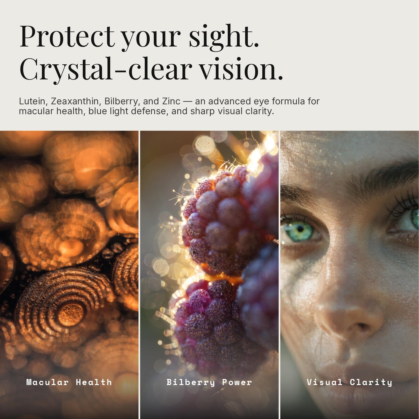Dear Apothecary Vision+ Eye Health Supplement 60 Capsules