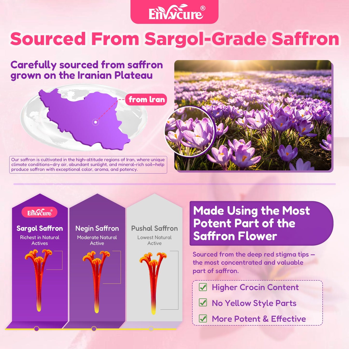 EnvyCure Saffron Gummies with Magnesium Glycinate, 60 Gummies