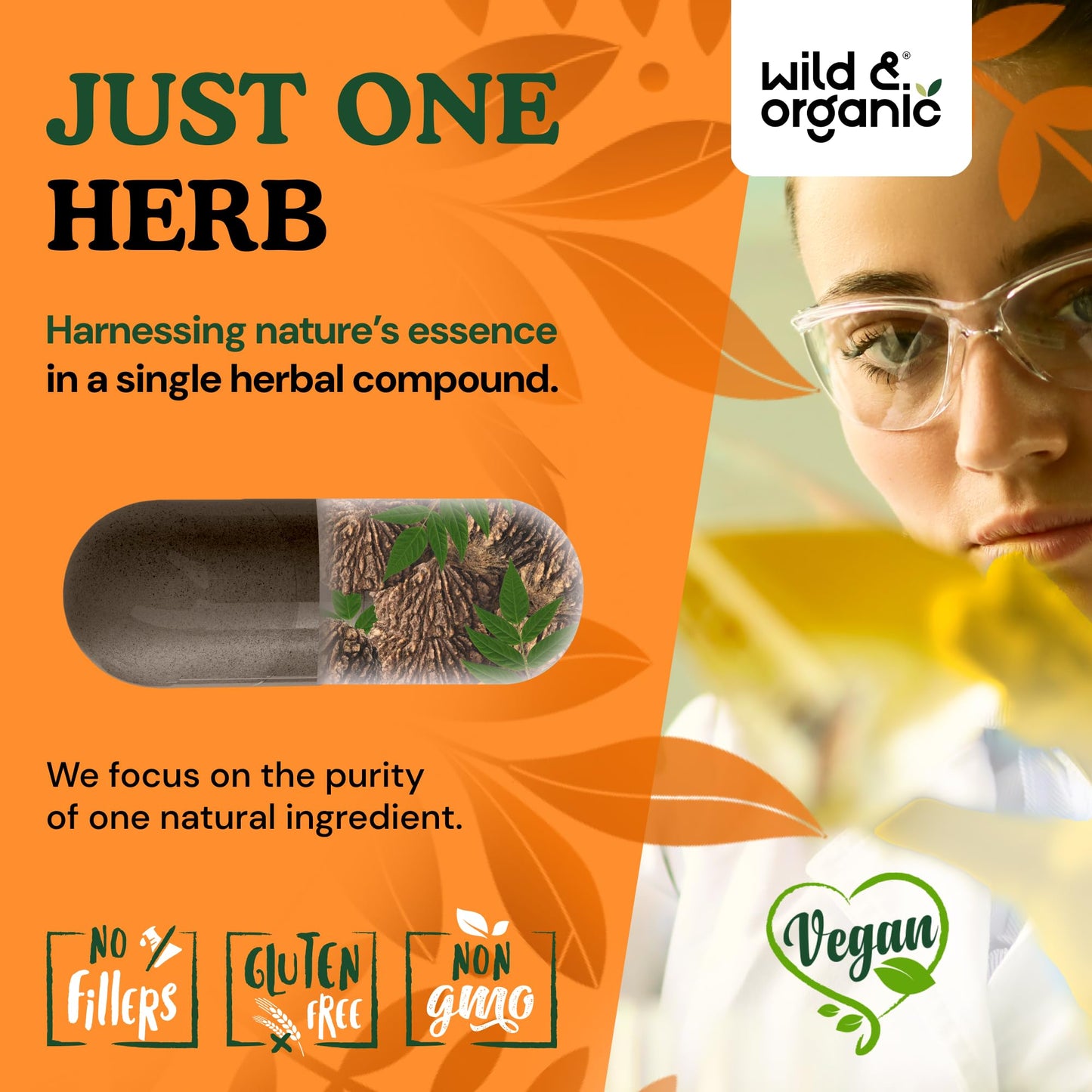 Wild & Organic Black Walnut Hull 900 mg Capsules 120 Count