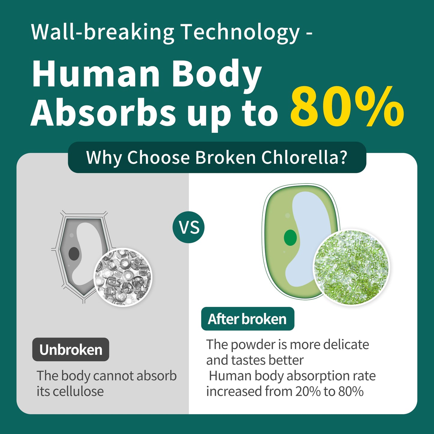 Hudetex Chlorella Powder Natural 18 Ounce
