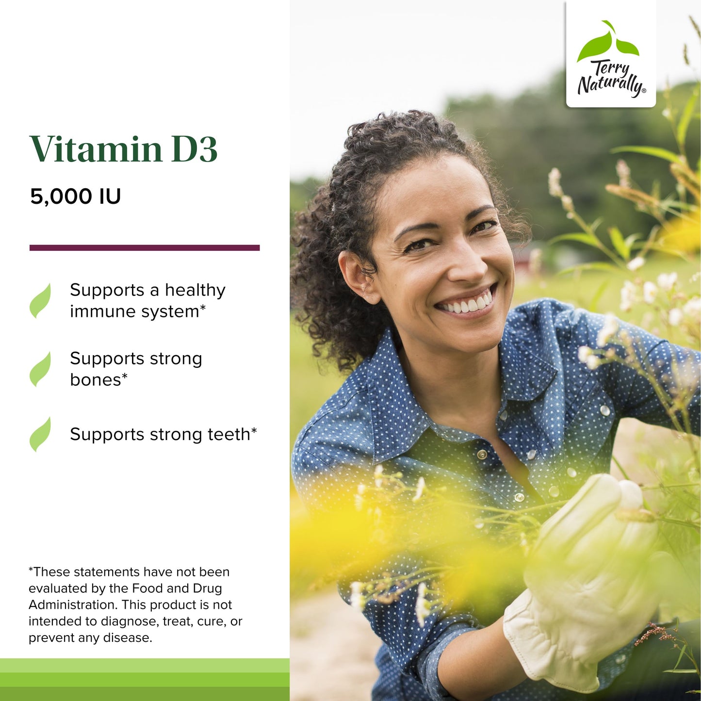 Terry Naturally Vitamin D3 5000 IU Chewable Tablets 180 Count