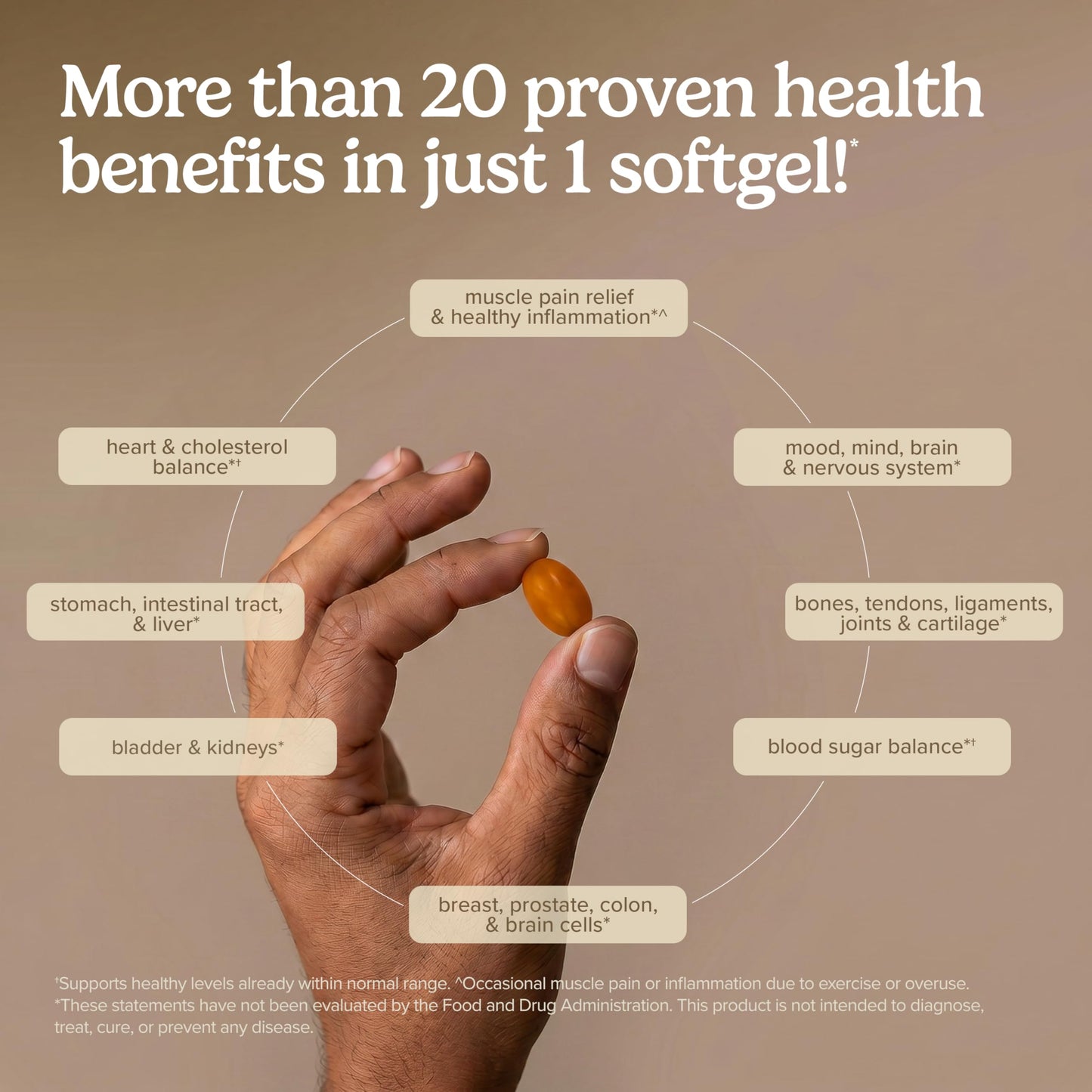 Terry Naturally CuraMed 750mg Softgels, 60 Count