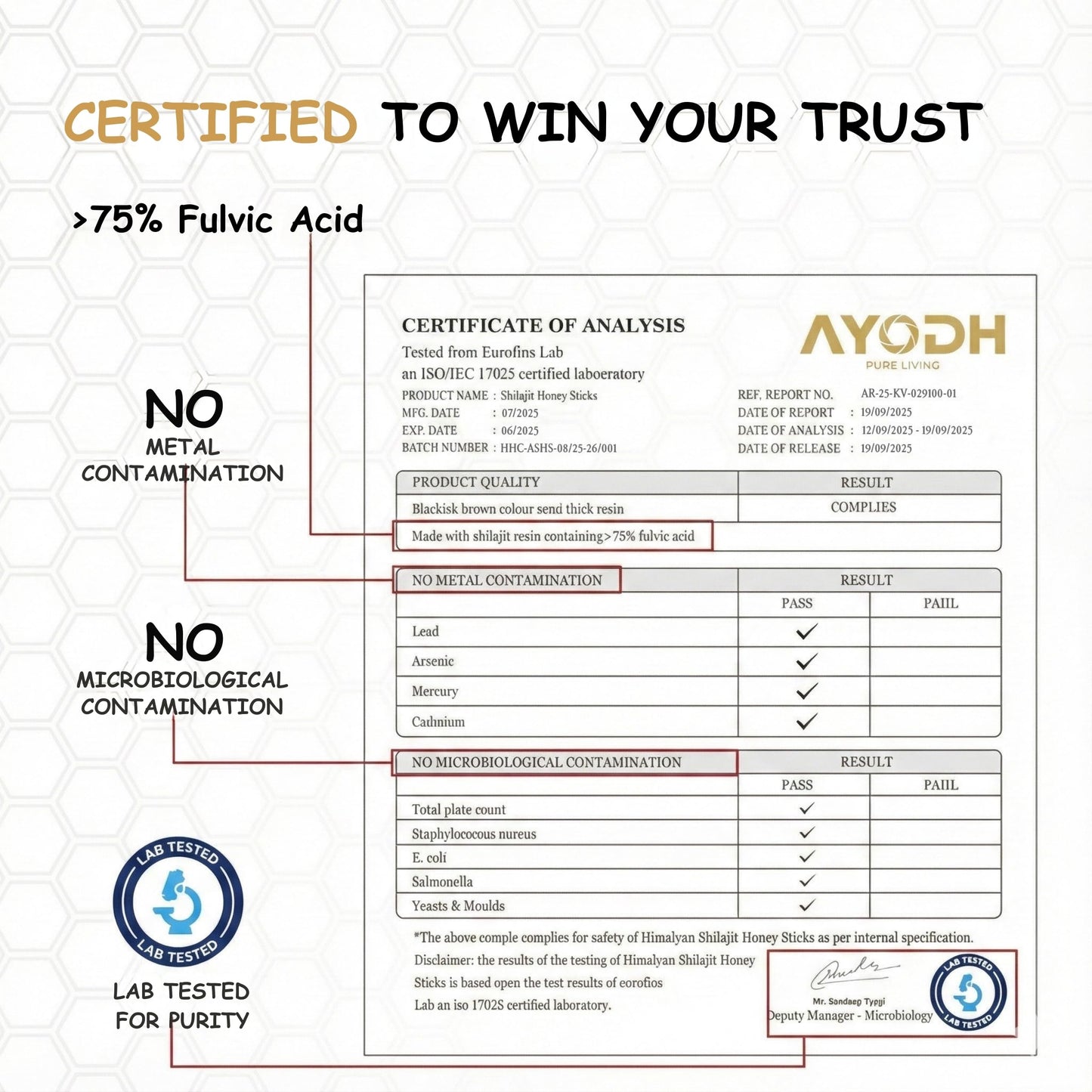 AYODH Pure Himalayan Shilajit Honey Sticks with Honey & Strawberry Softgel, 4 Softgels