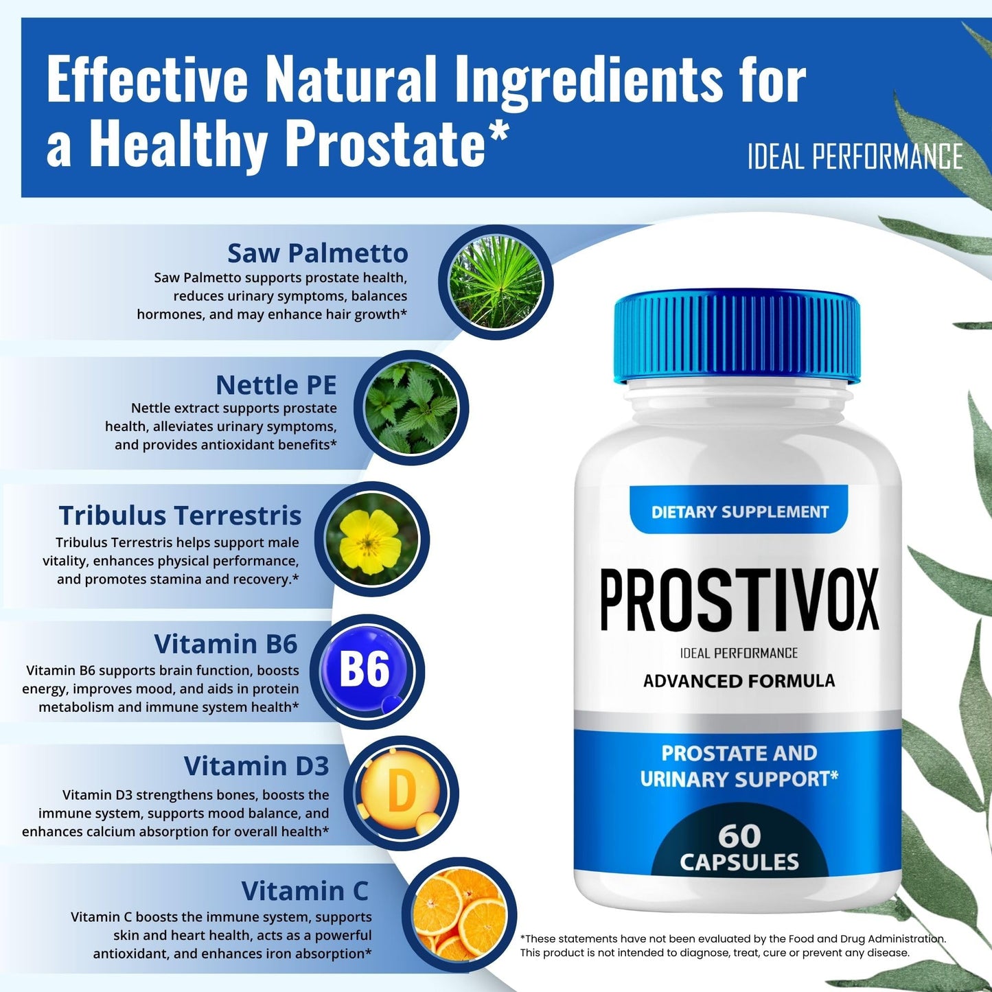 IDEAL PERFORMANCE Prostivox Prostate Health Capsules 120