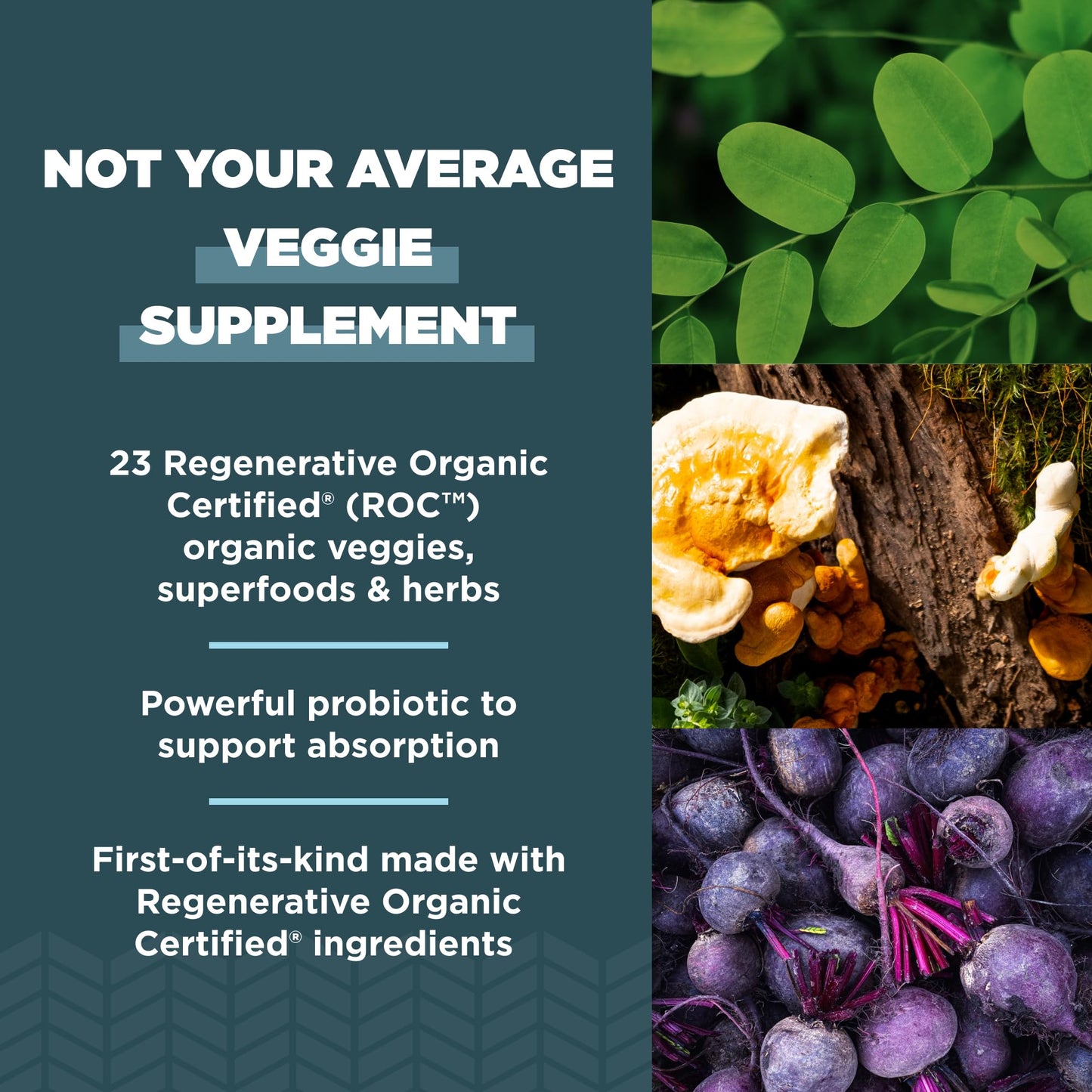 Ancient Nutrition Regenerative Organic Certified SuperVeggies Capsules, 60 Count