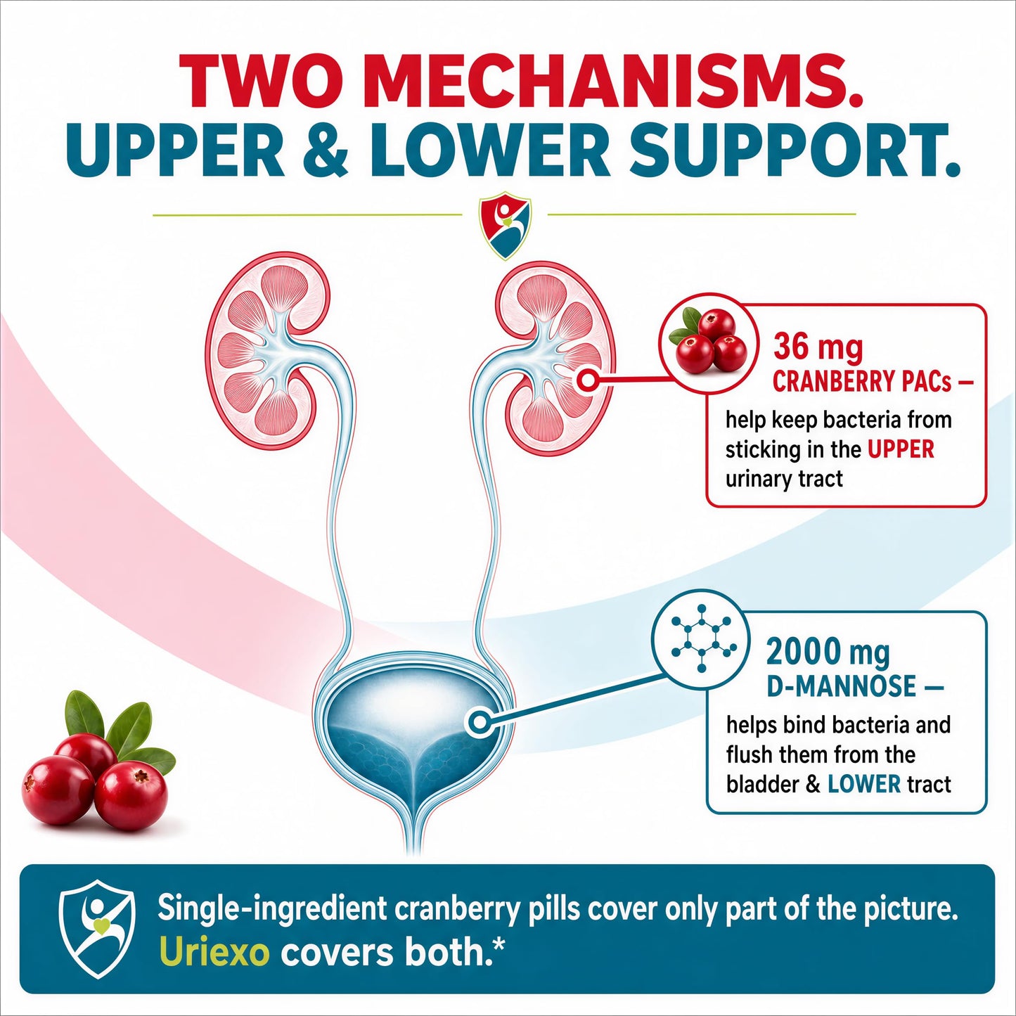 Uriexo Cranberry PACs & D-Mannose for Urinary Tract Health Capsules, 120 Count