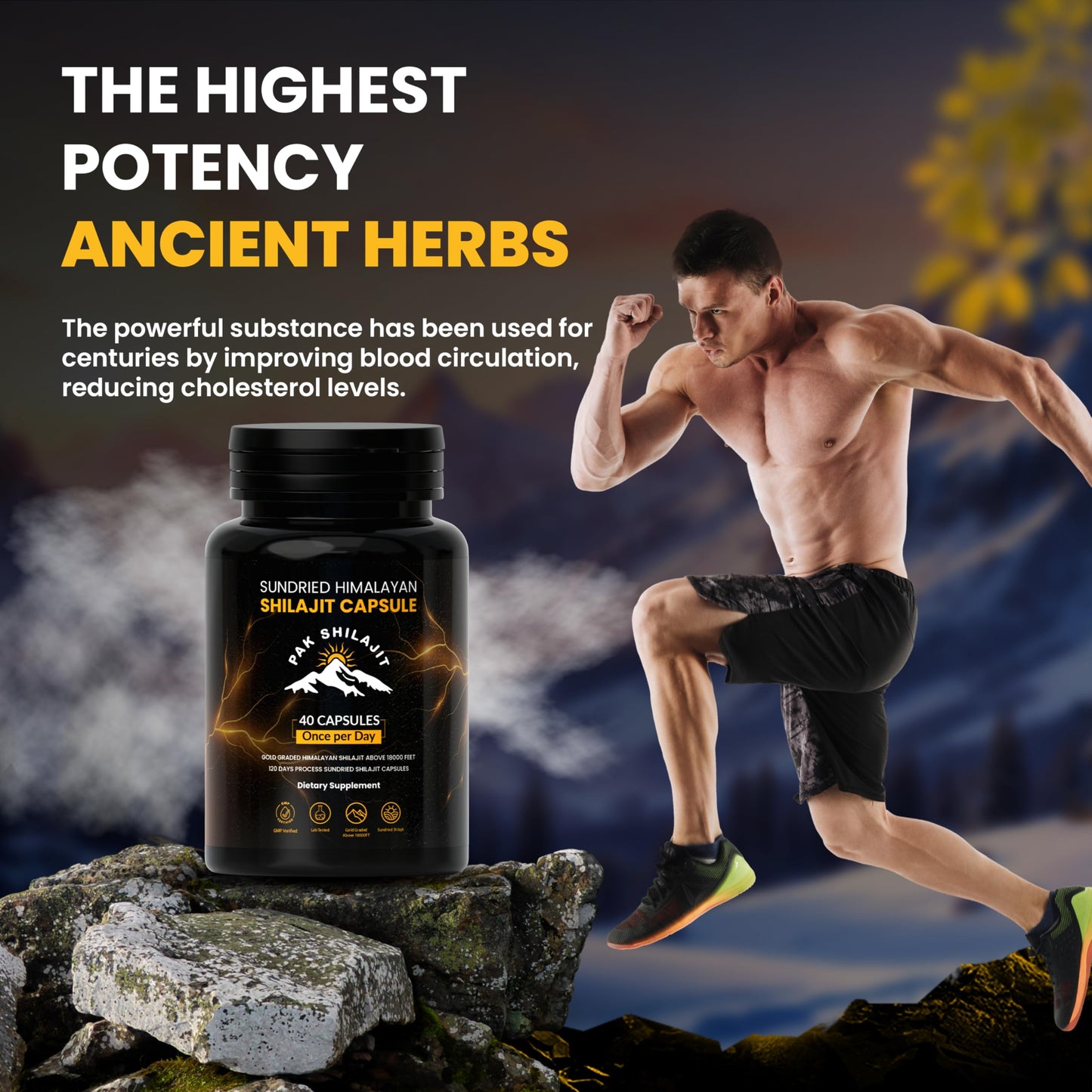 PakShilajit Himalayan Shilajit Capsules 40 Capsules