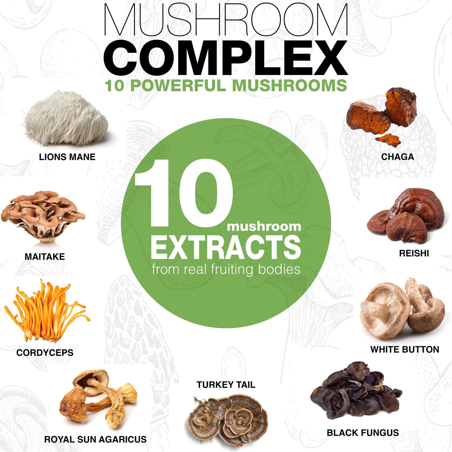 Nutra Simple Lions Mane Mushroom Gummies with Turkey Tail, Chaga, Cordyceps, Maitake, Reishi, Royal Sun Extract, for Focus and Energy Support, Raspberry Flavor, 60 Gummies