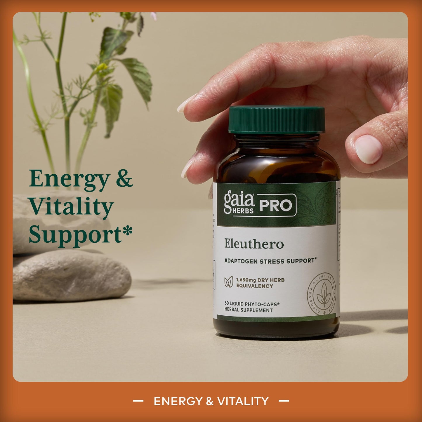 Gaia Herbs PRO Eleuthero Adaptogen Supplement Stress & Energy Support 60 Capsules