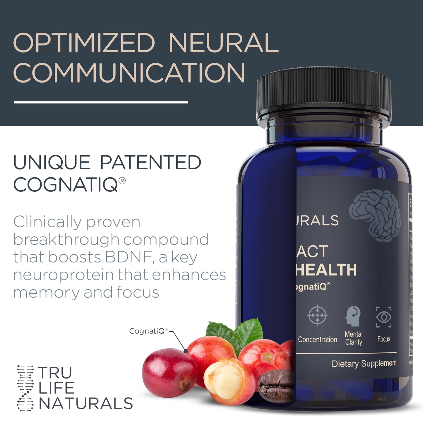 TRULIFE NATURALS NEUROACT Brain Health Memory, Focus, Concentration, Mental Clarity with CognatiQ, Vitamin B3 & B6 Capsule, 60 Capsules
