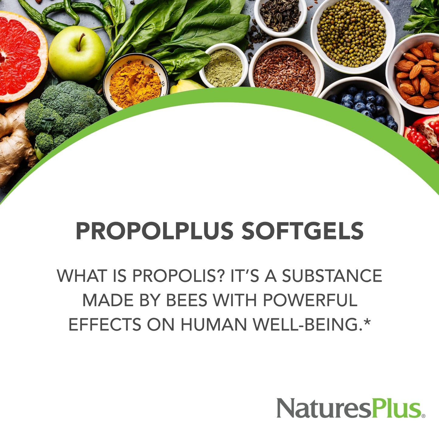 NaturesPlus Propolplus Bee Propolis & Pollen Softgels 60