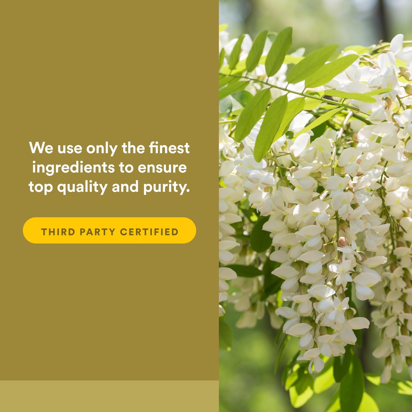 Natural Factors Quercetin LipoMicel Matrix Softgels 30