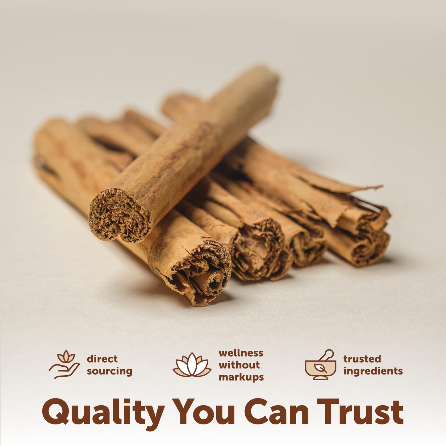 Micro Ingredients Ceylon Cinnamon Softgels 300