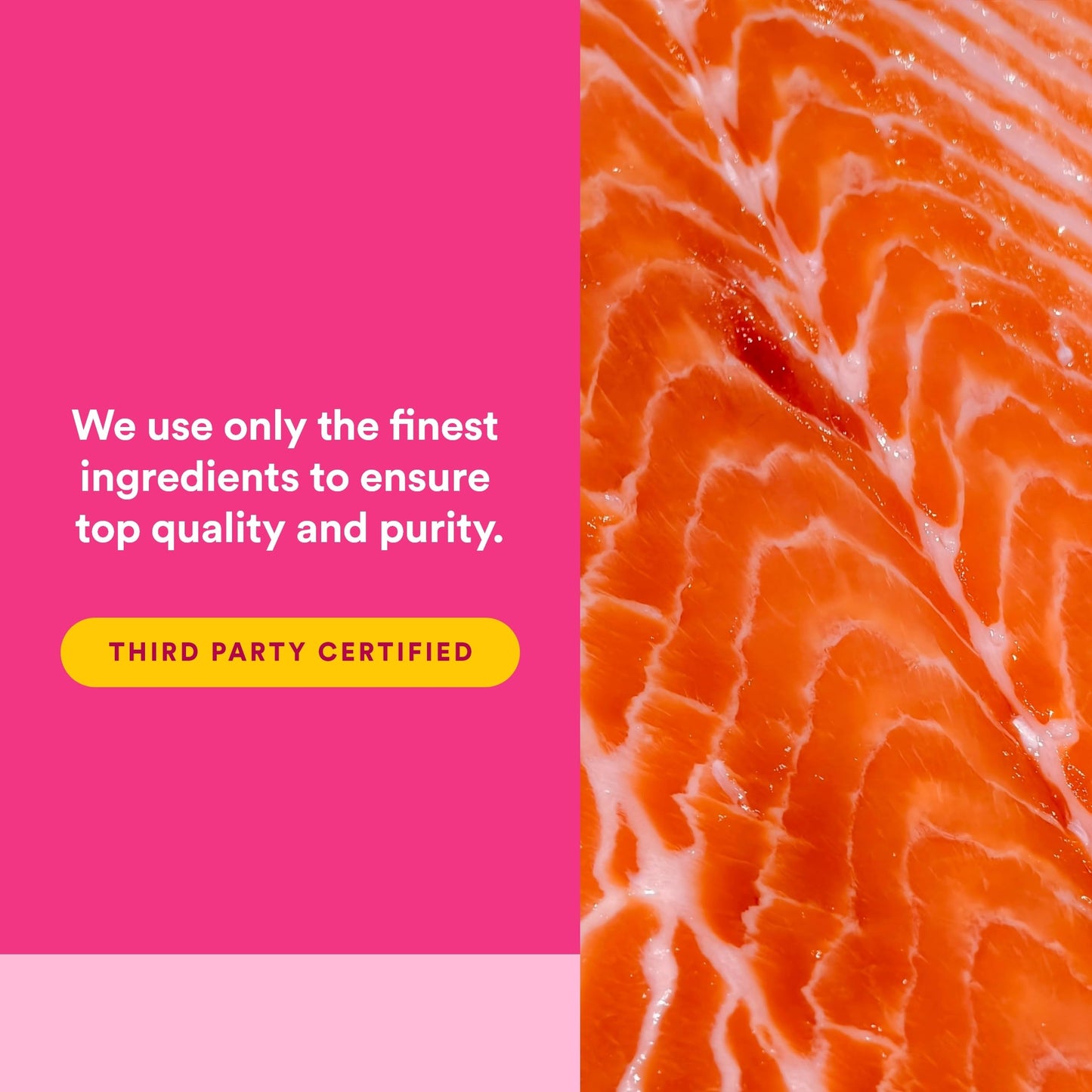 Natural Factors Complete Omega Wild Alaskan Salmon Oil Softgels 180