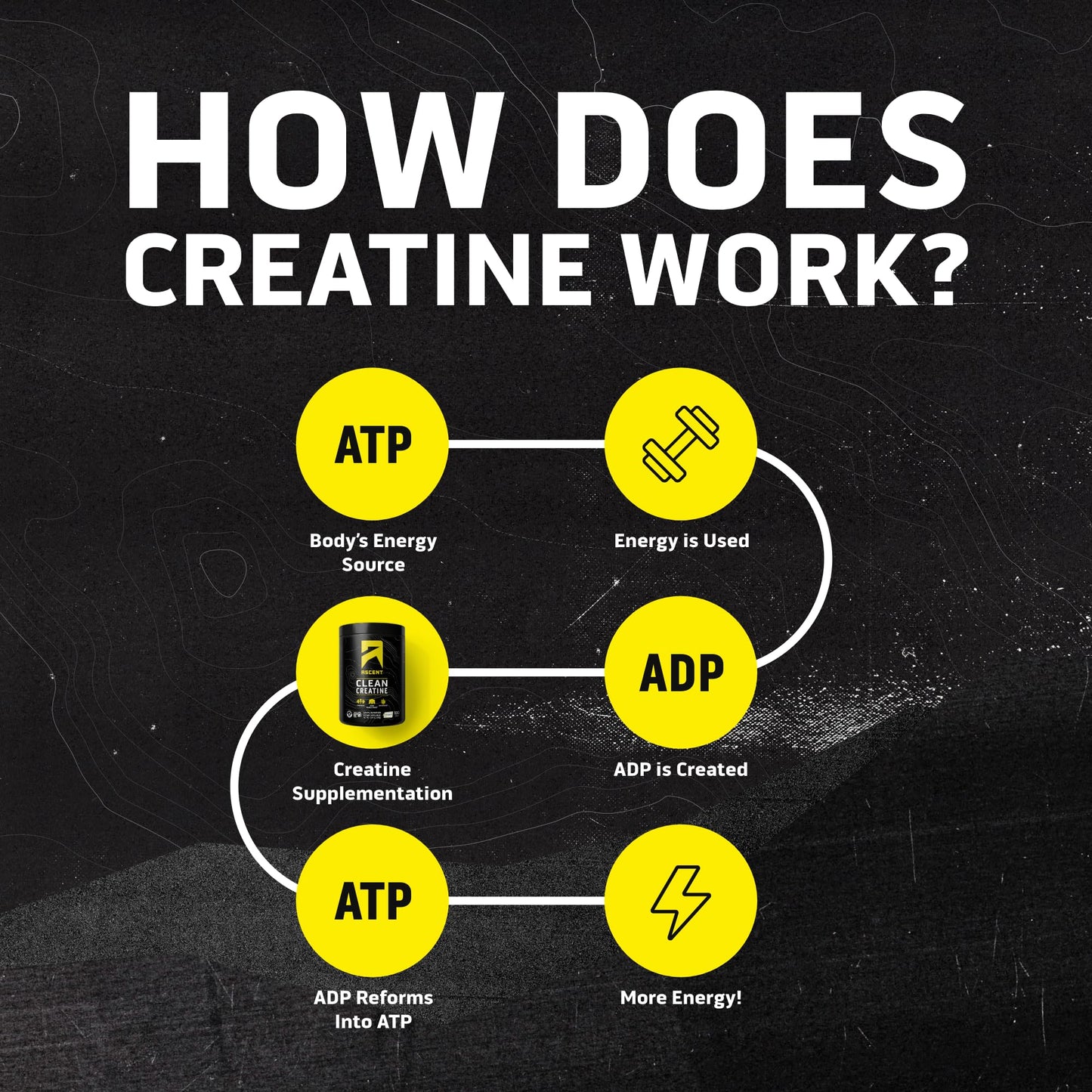 Ascent Clean Creatine Monohydrate Powder 100 Servings