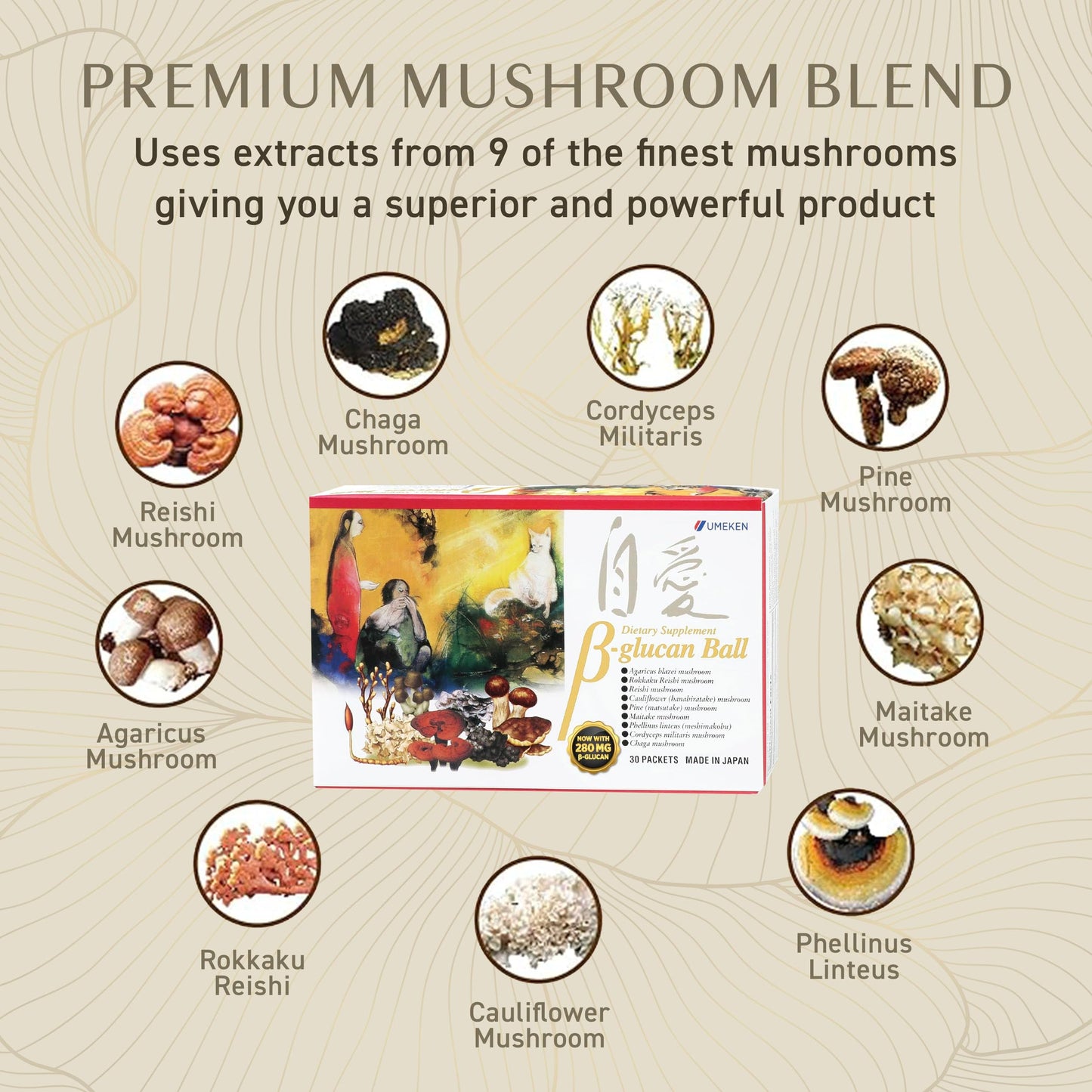 Umeken Beta Glucan Immune Boost Mushroom Extract 30 Tablets