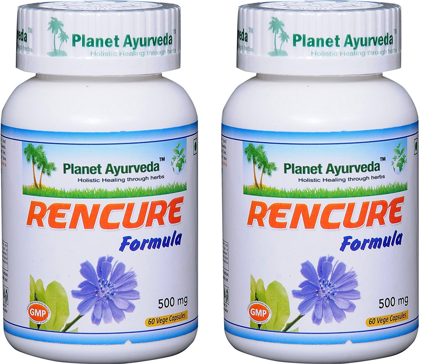 Planet Ayurveda Rencure Formula Capsule 120 Capsules