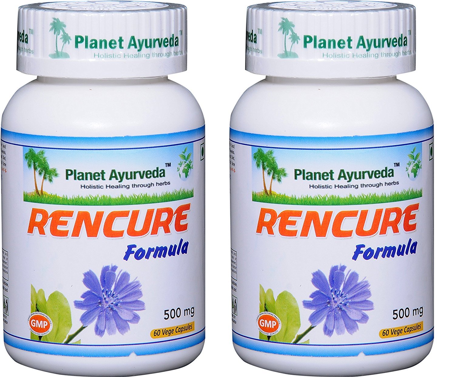 Planet Ayurveda Rencure Formula Capsules 120 Capsules