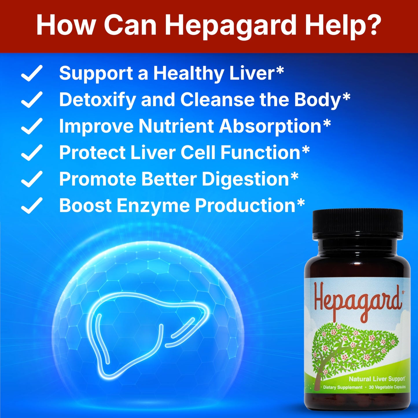 Hepagard Natural Liver Support Supplement with N-Acetyl Cysteine (NAC), 30 Capsules