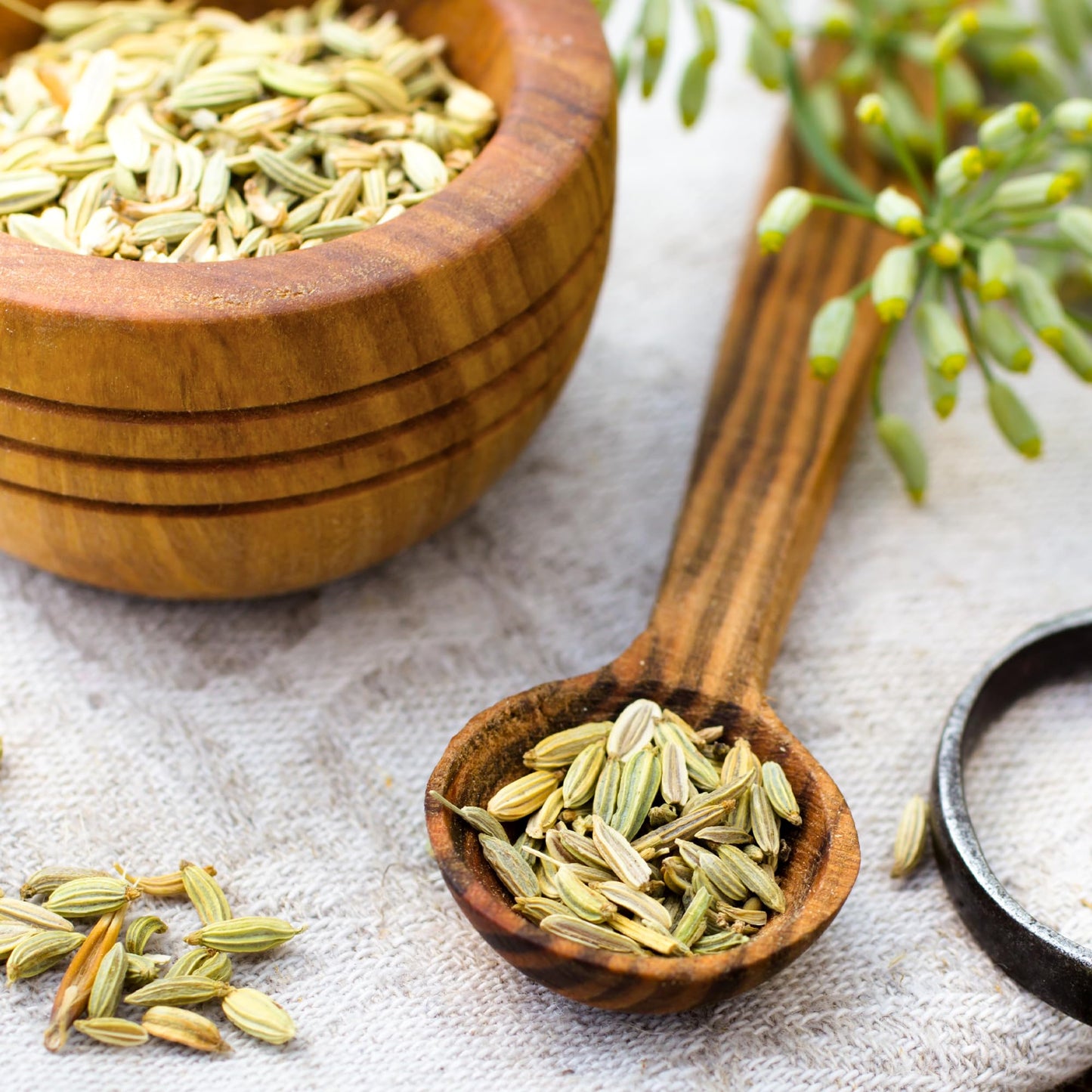 Earthborn Elements Fennel Seed Capsules 200