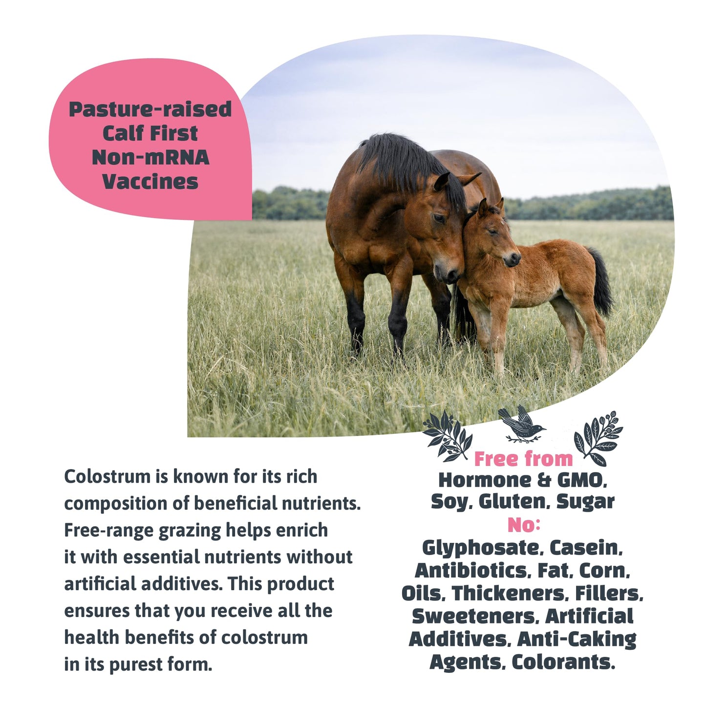 Milk Wealth Pure Mare Colostrum Powder 1.75 oz