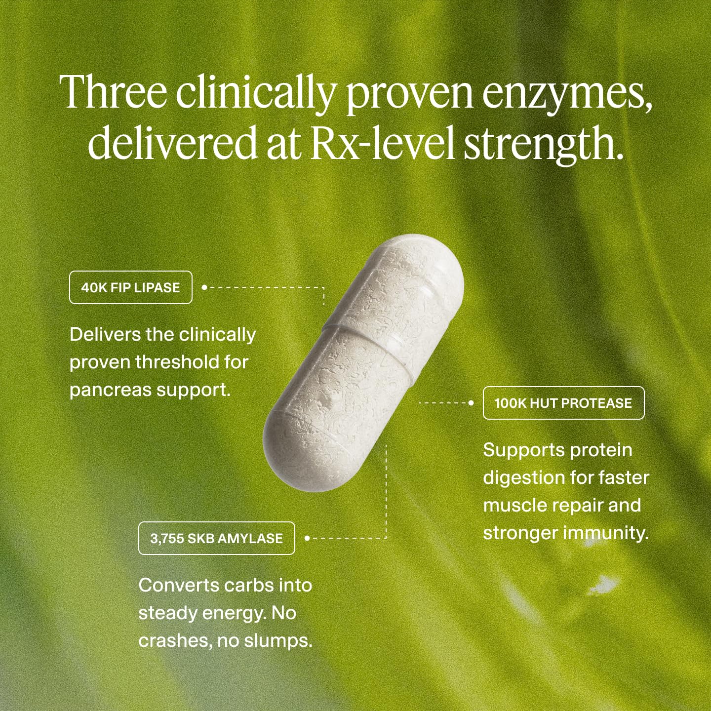 Boulder Bio Digestive Enzymes 40,000 USP Lipase Pancreatic Enzyme Replacement Formula Immediate-Release Capsules 90