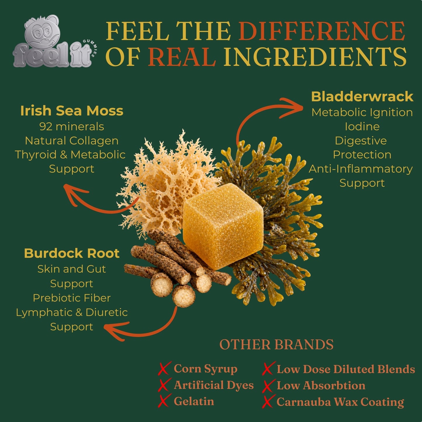 feel it GUMMIES High Potency Irish Sea Moss Gummies – 1750mg Raw Wildcrafted Irish Sea Moss with Bladderwrack & Burdock Root – Thyroid, Immune, Detox & Energy, 60 Gummies