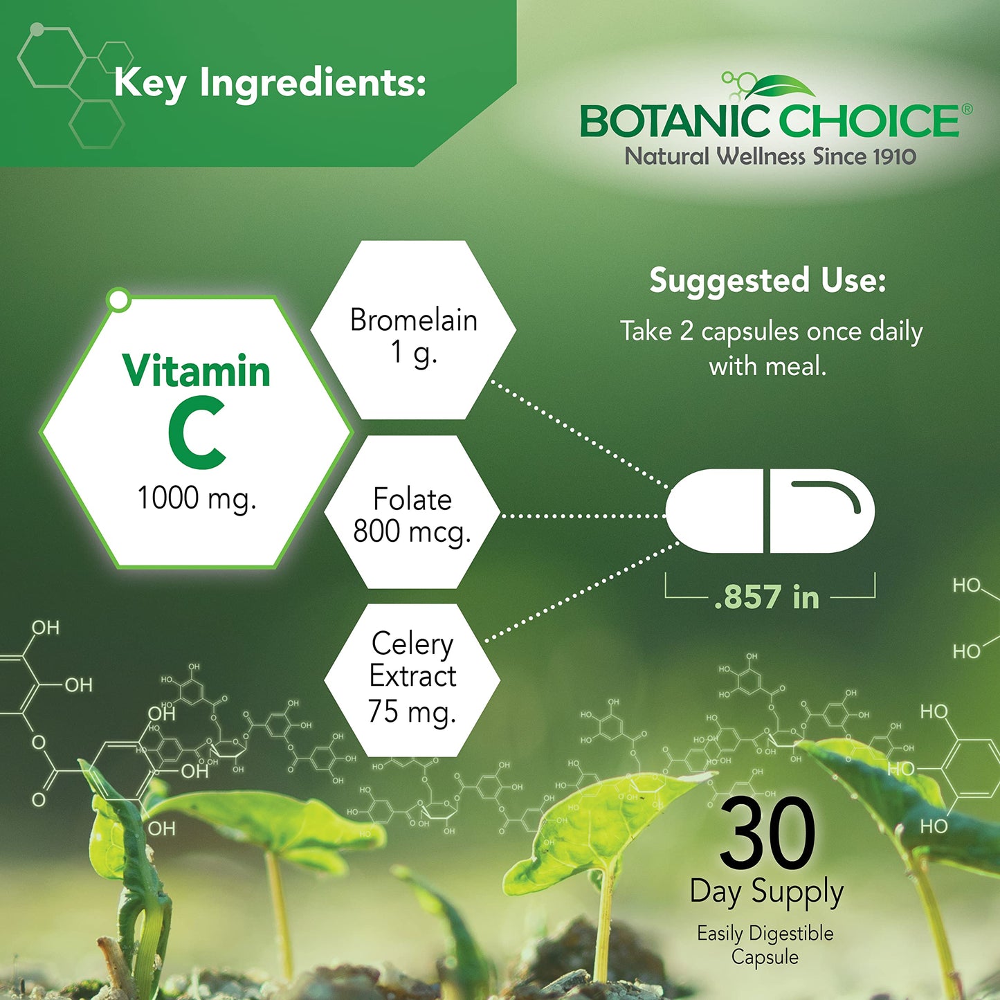 Botanic Choice Uric Acid Complex Supplement - Foot Joint Support - 60 Capsules