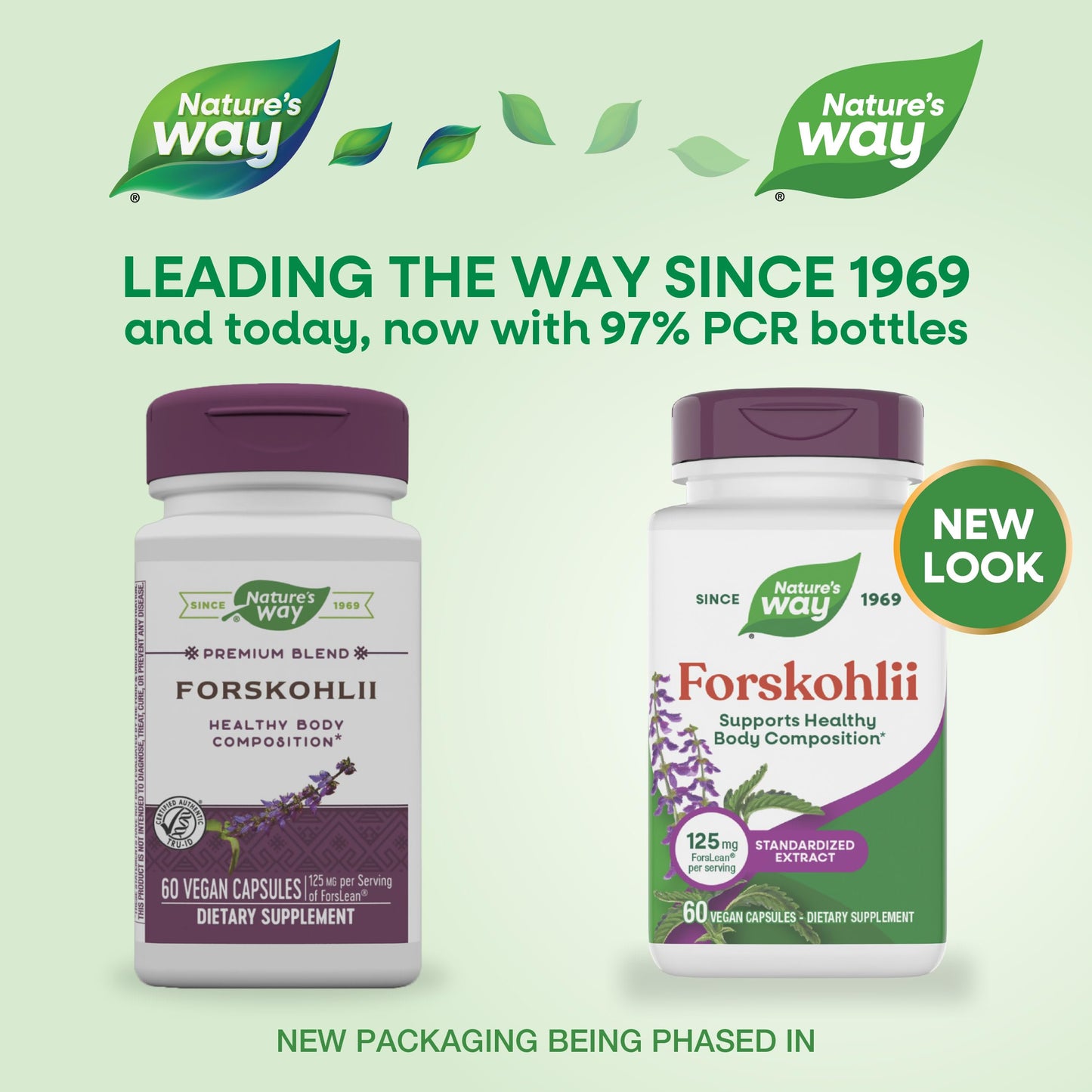 Nature's Way Forskohlii Capsules, 60 Count