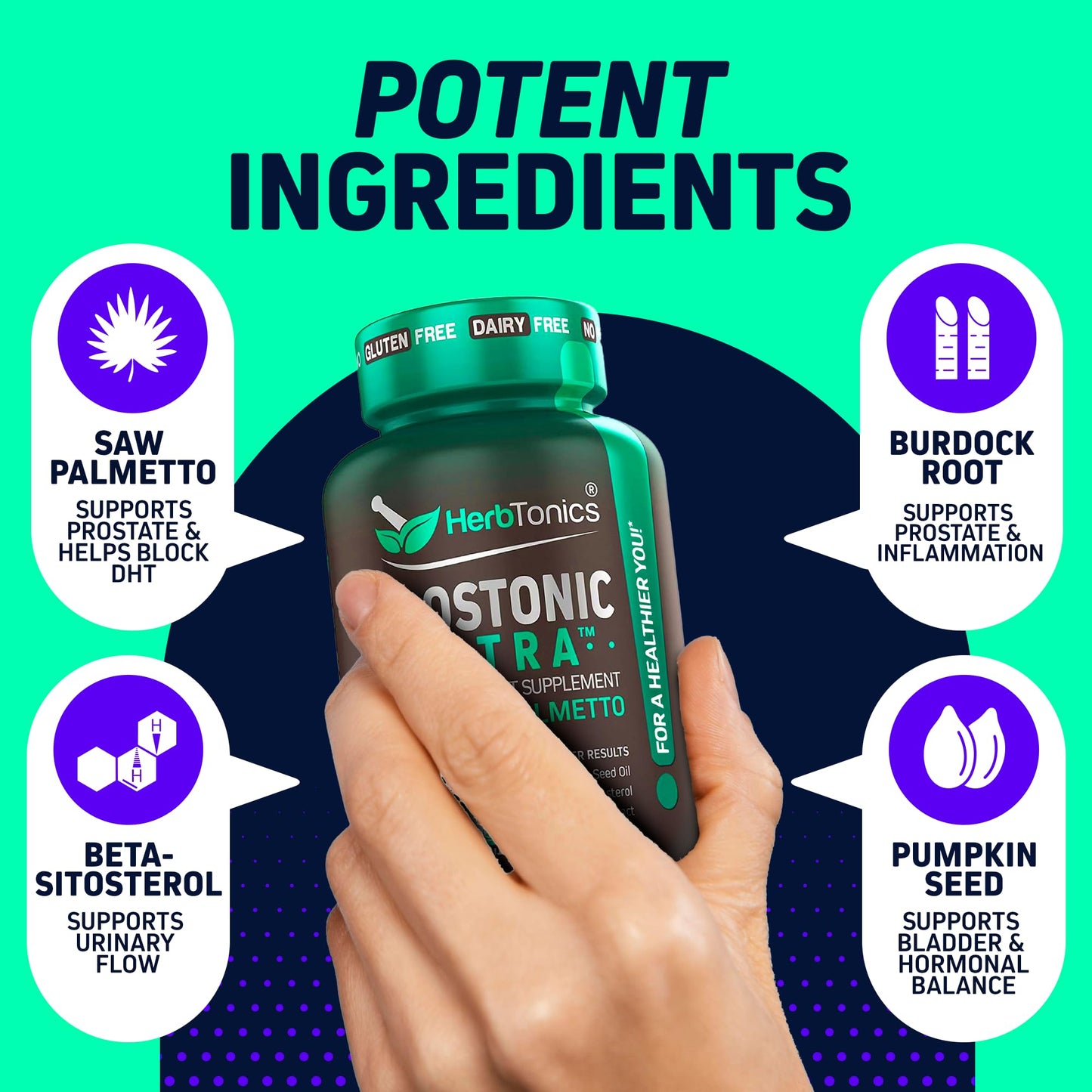 Herbtonics Dual Prostate & Hair Support for Men – Saw Palmetto, Beta-Sitosterol, Pumpkin Seed – Promotes Urinary Health & Natural DHT Blocking, 120 Capsules