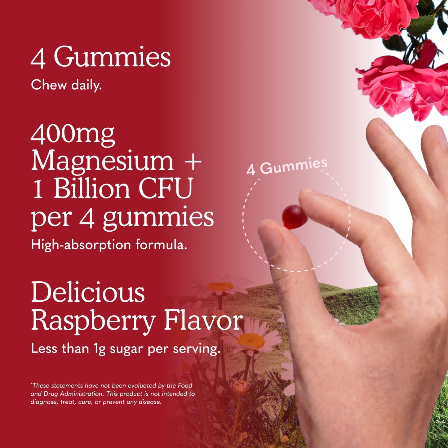 Garden of Life Magnesium with Pre & Probiotics Gummies, 60 Gummies