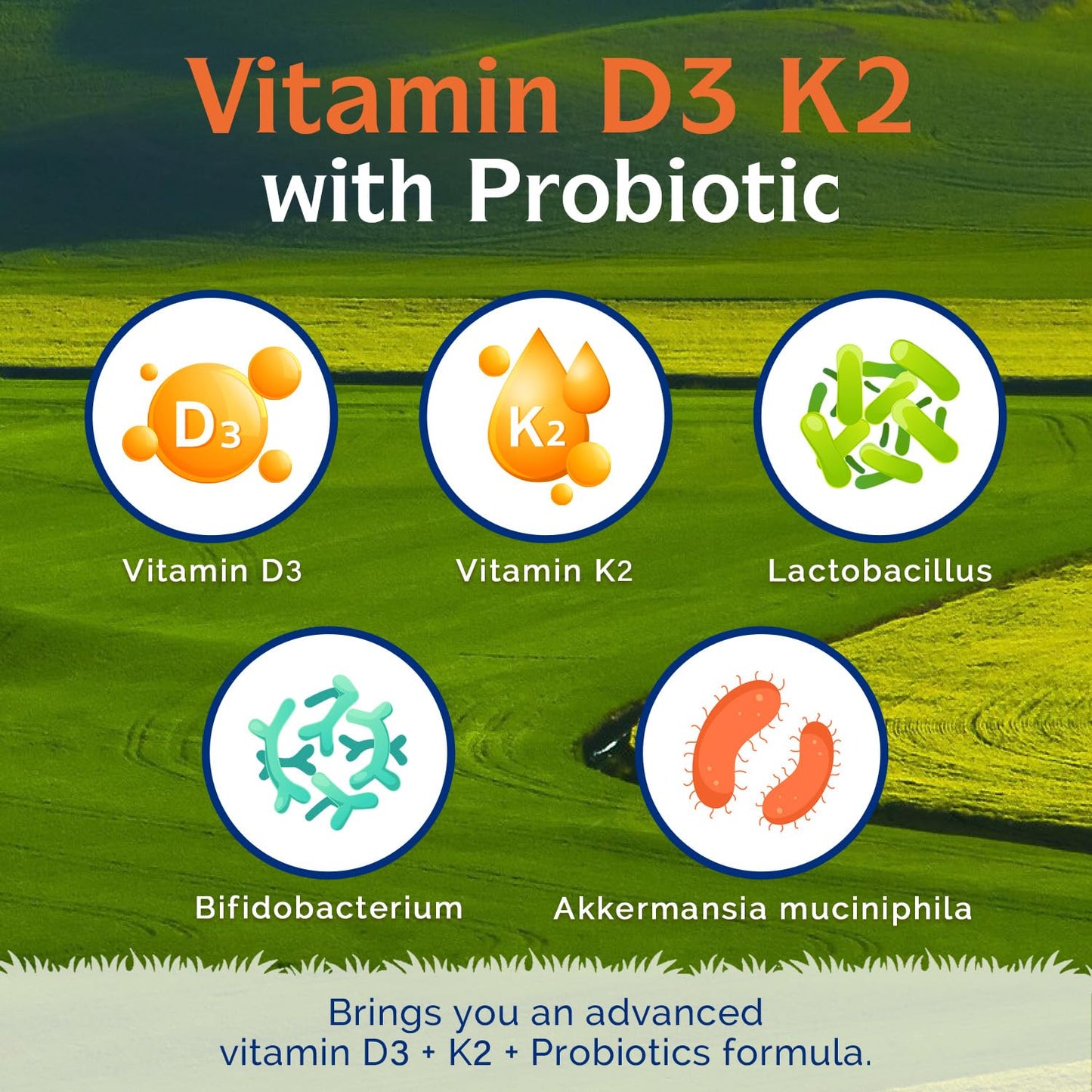 Innate Vitality D3 K2 Vitamin 10000IU + Probiotics, Akkermansia Muciniphila Capsule, 60 Count