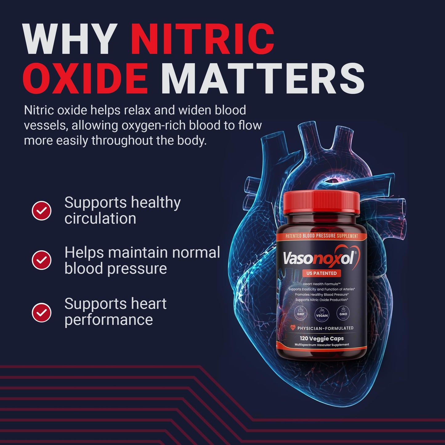 Panoxol Vasonoxol U.S. Patented Nitric Oxide Supplement for Blood Pressure Support Capsules, 120 Count