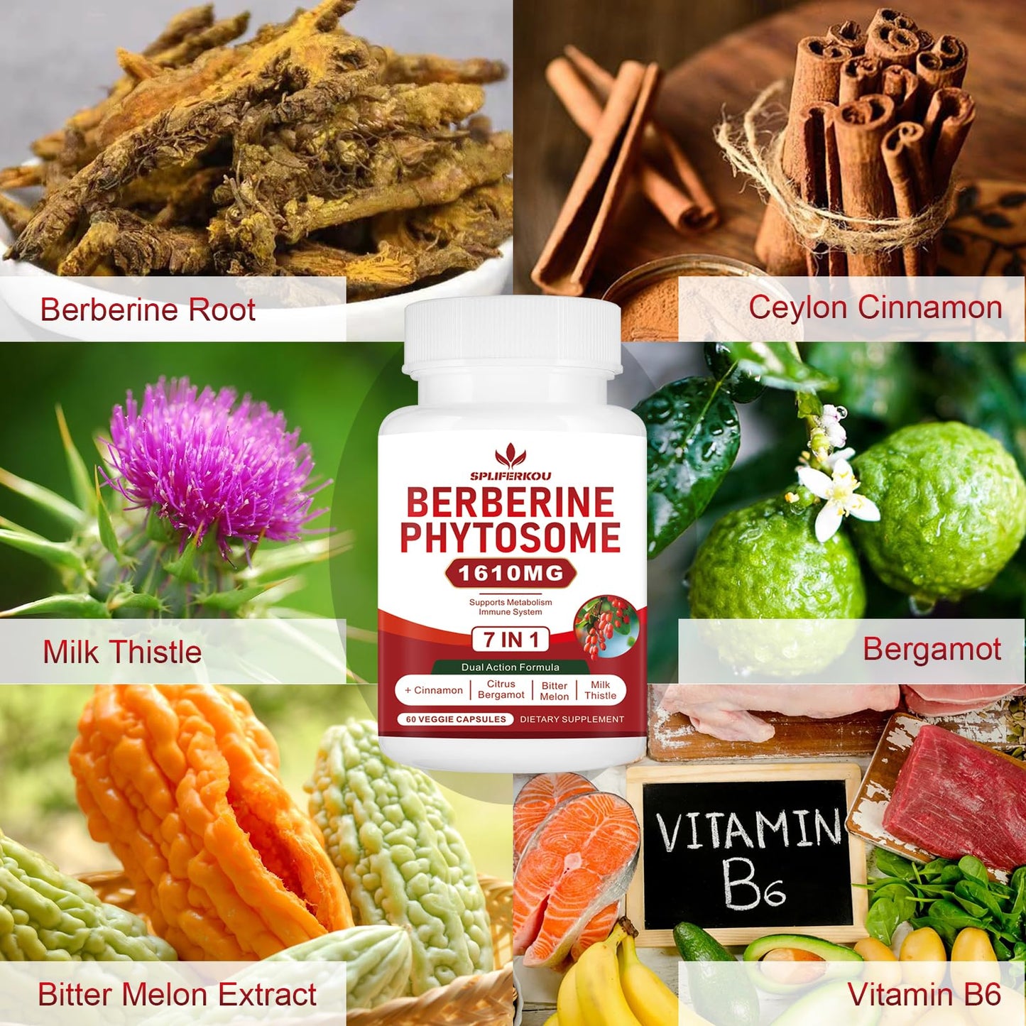 Spliferkou 7-in-1 Berberine Phytosome with Ceylon Cinnamon Capsule 120 Capsules