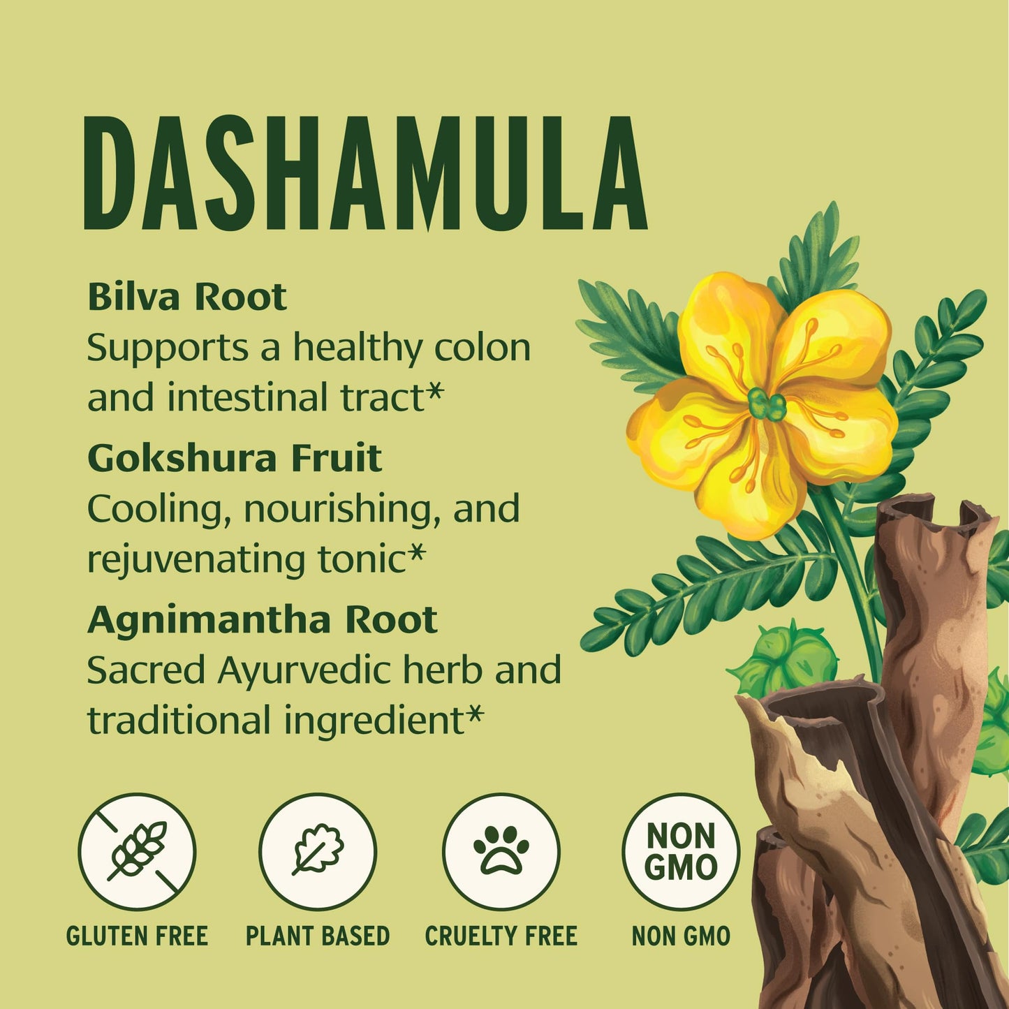 Banyan Botanicals Dashamula Powder 8 oz