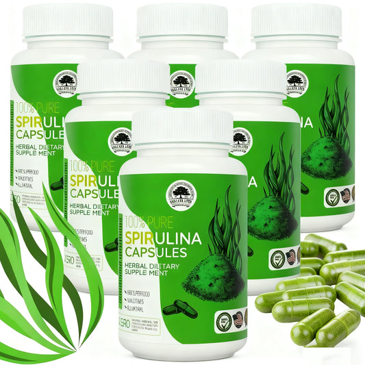 DABC OAK LAND Spirulina Tablet 6 Bottles