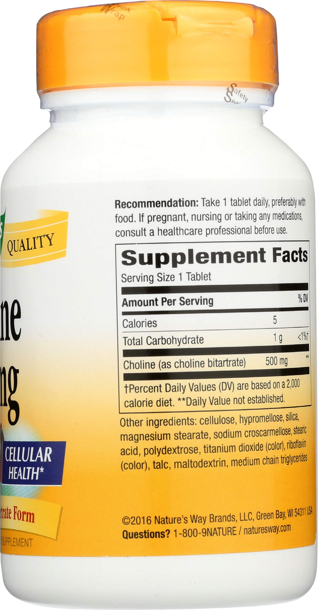 Nature's Way Choline 500mg Tablet, 100 Tablets
