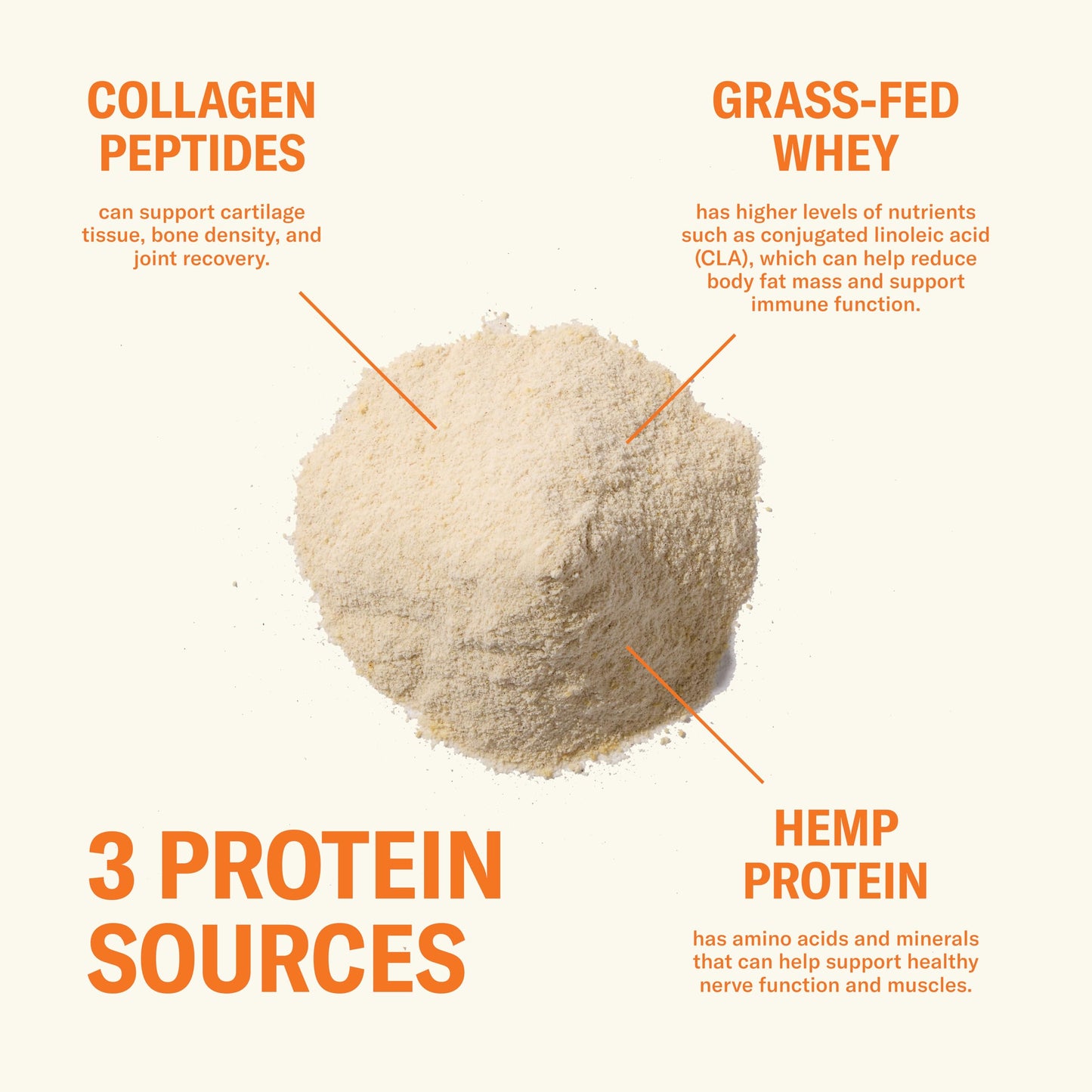 Ballerina Farm Grass Fed Whey Protein Powder, Maple Cinnamon, 24g Protein with Collagen Peptides, 20 Servings