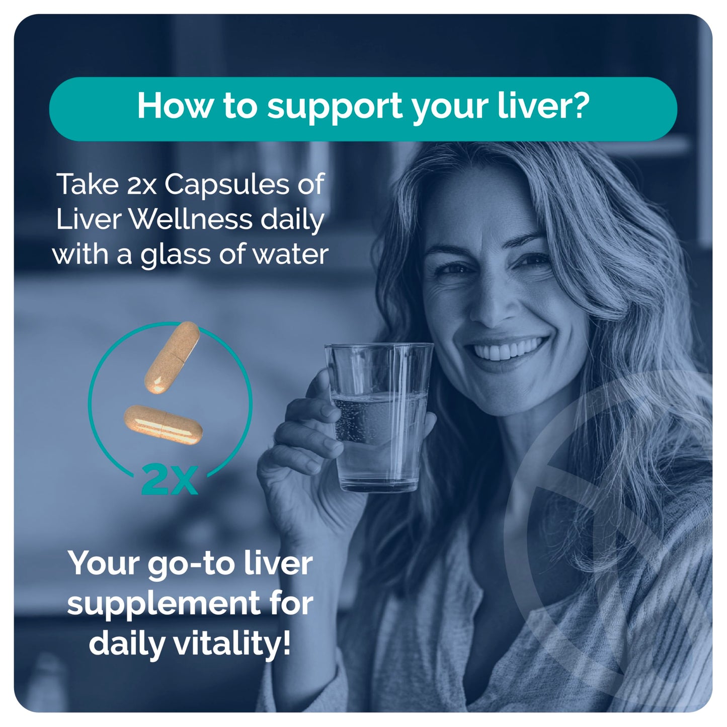 SYNVITE Liver Wellness Capsule 60 Count