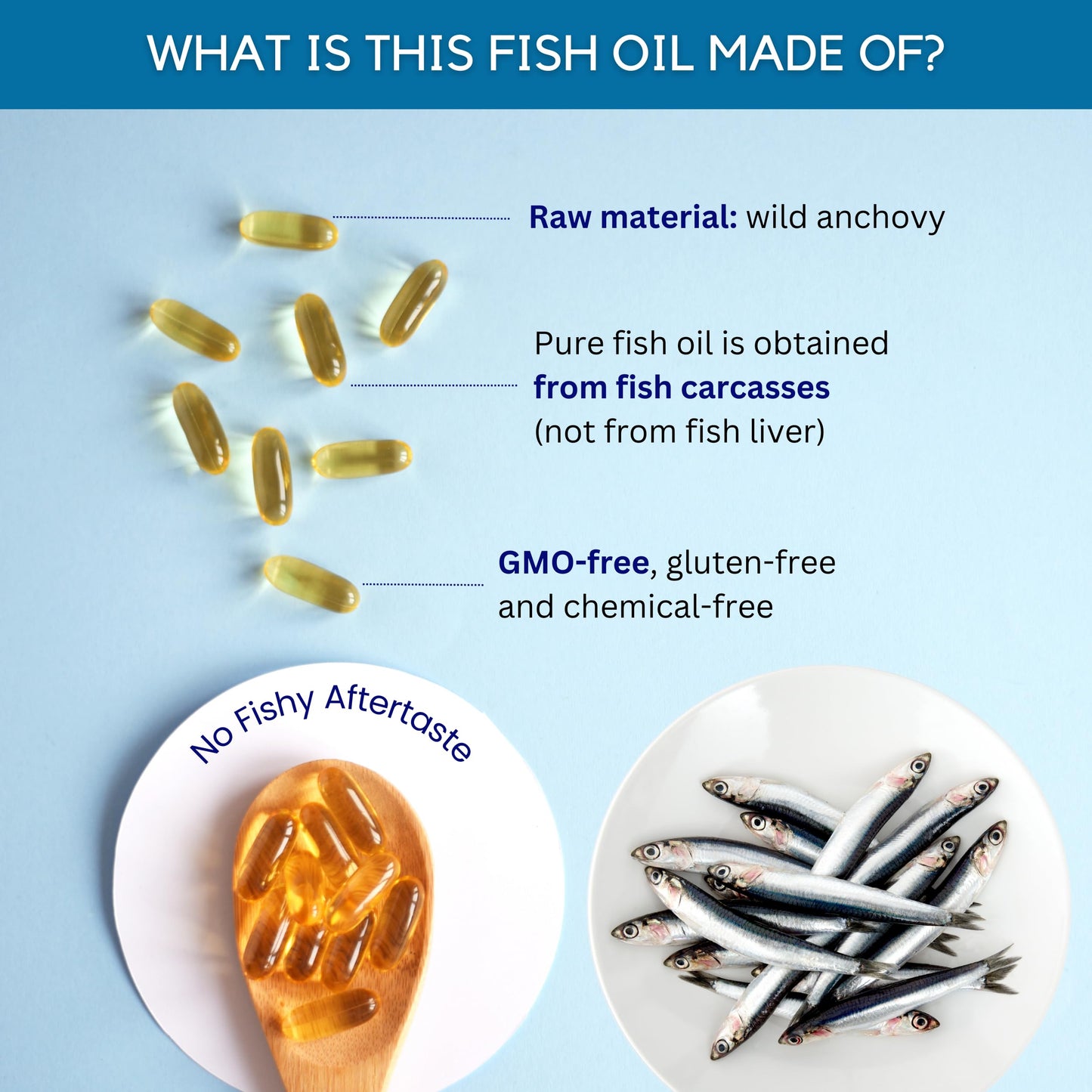 healblend DHA/EPA Omega 3 Fish Oil Softgels 60