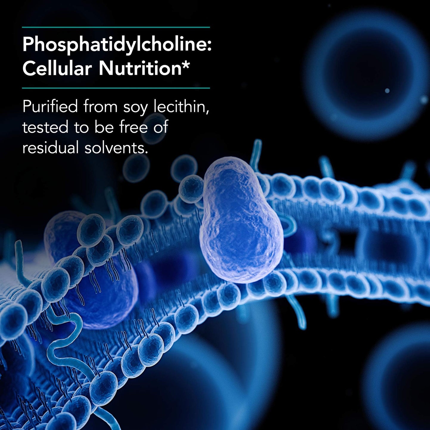 Allergy Research Group Phosphatidyl Choline 385 mg Softgel Capsules 100 Count