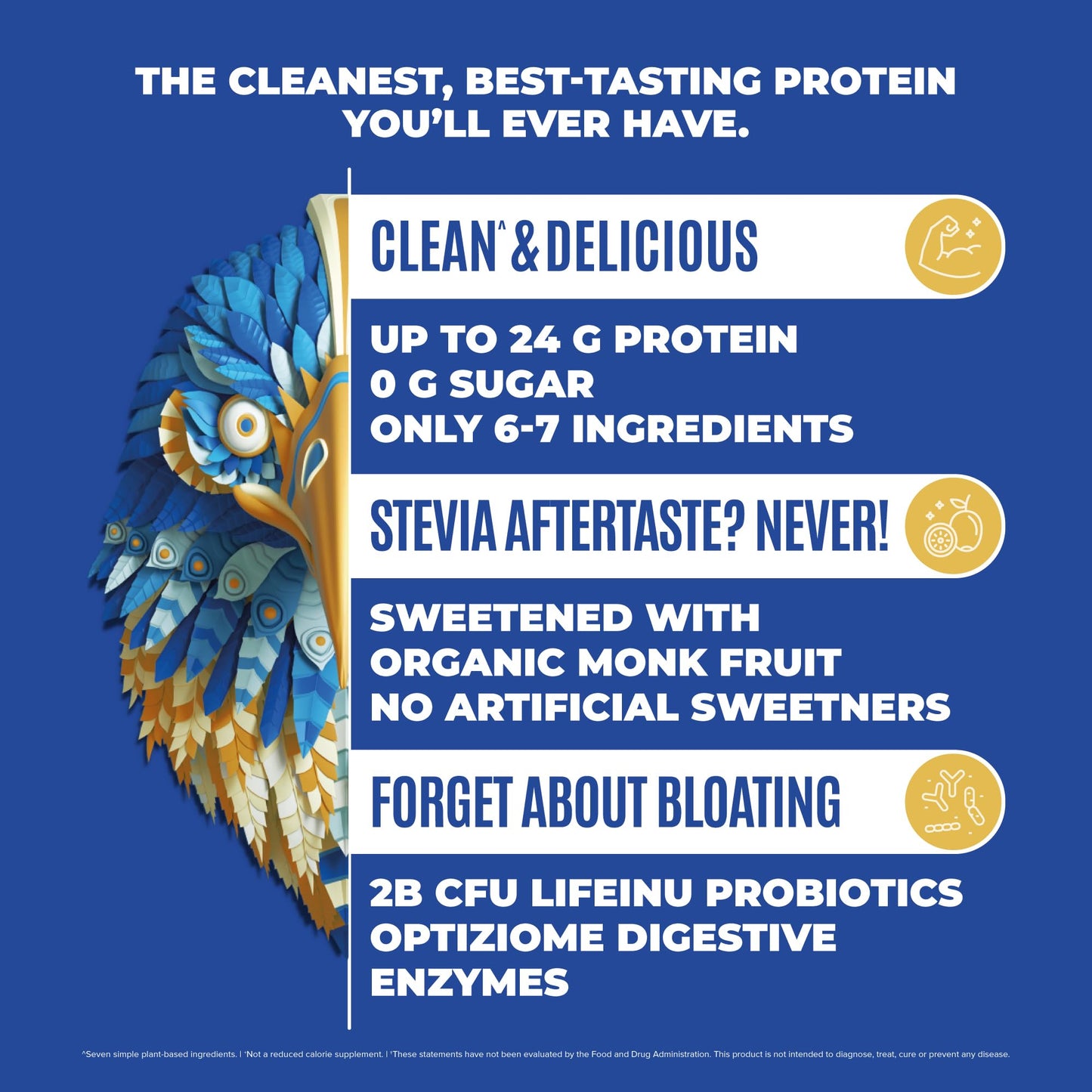 BIRDMAN Falcon Vegan Protein Powder, 2-Pack Vanilla & Chocolate Flavors, 20 Servings Each