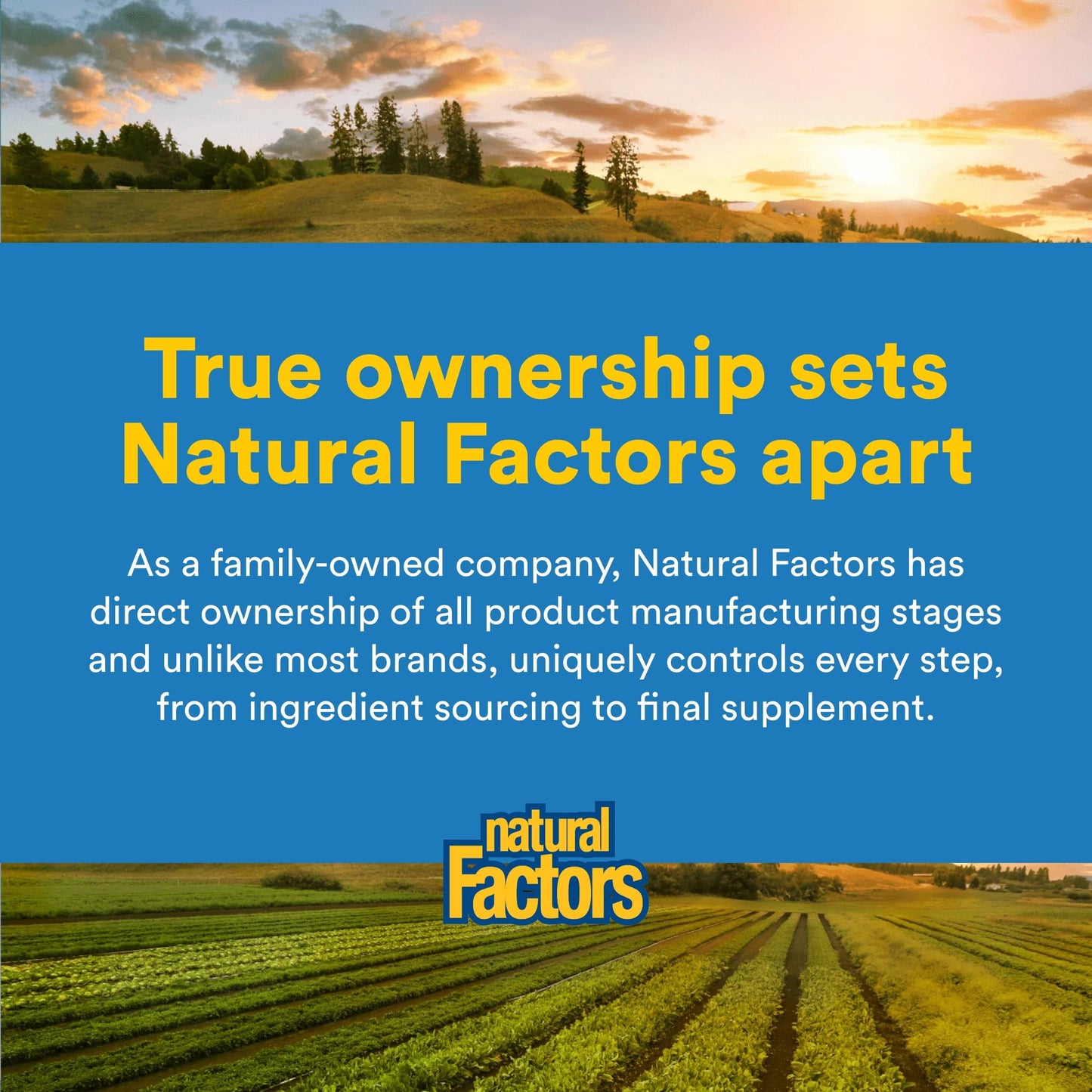 Natural Factors Vitamin K2 Capsule 60 Capsules