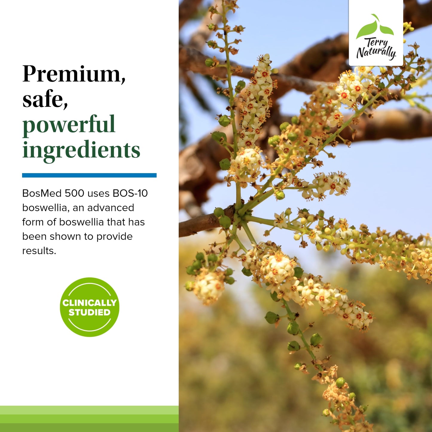 Terry Naturally BosMed 500 Extra Strength Boswellia Serrata Extract Softgels, 120 Count
