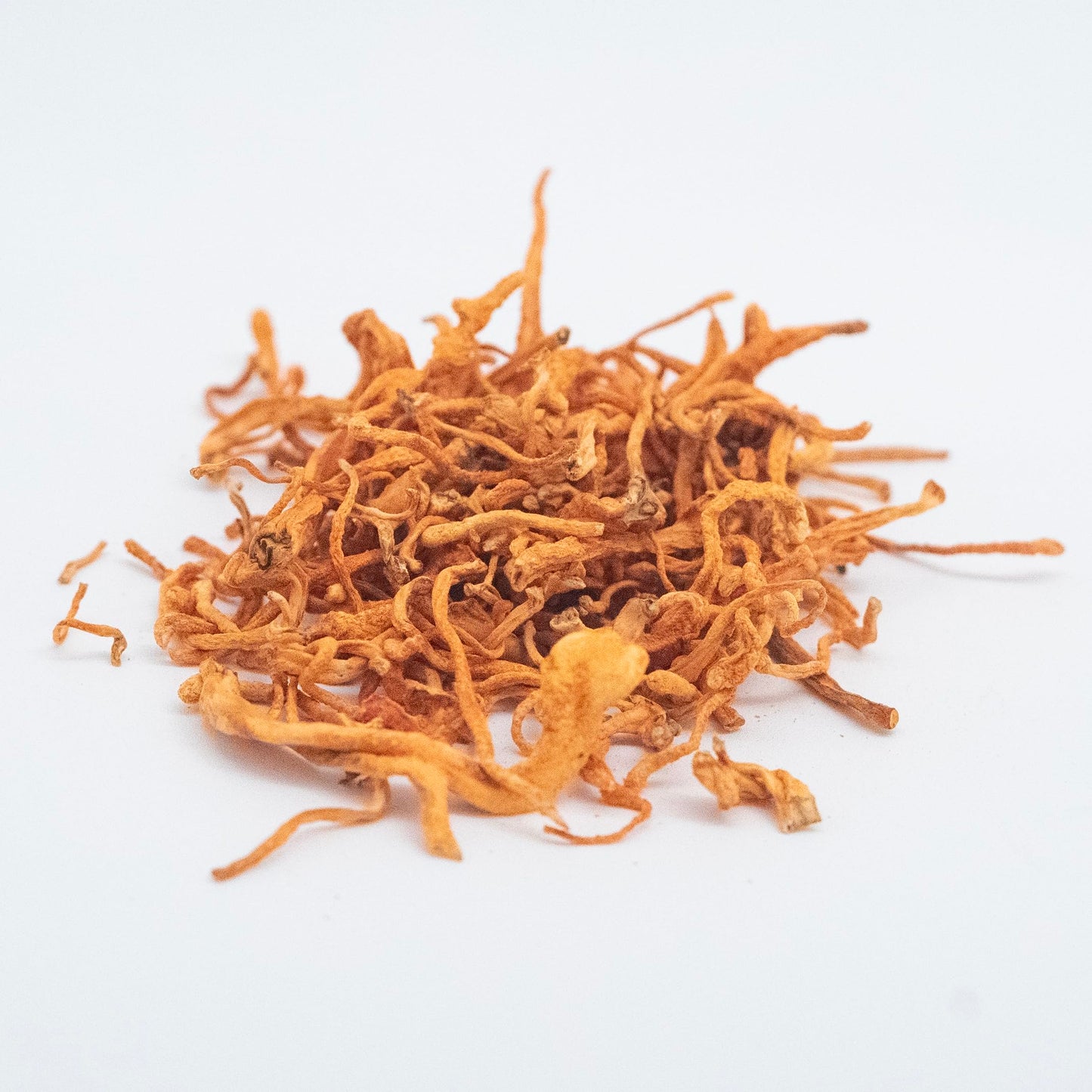 Hodgins Harvest Cordyceps Powder 1