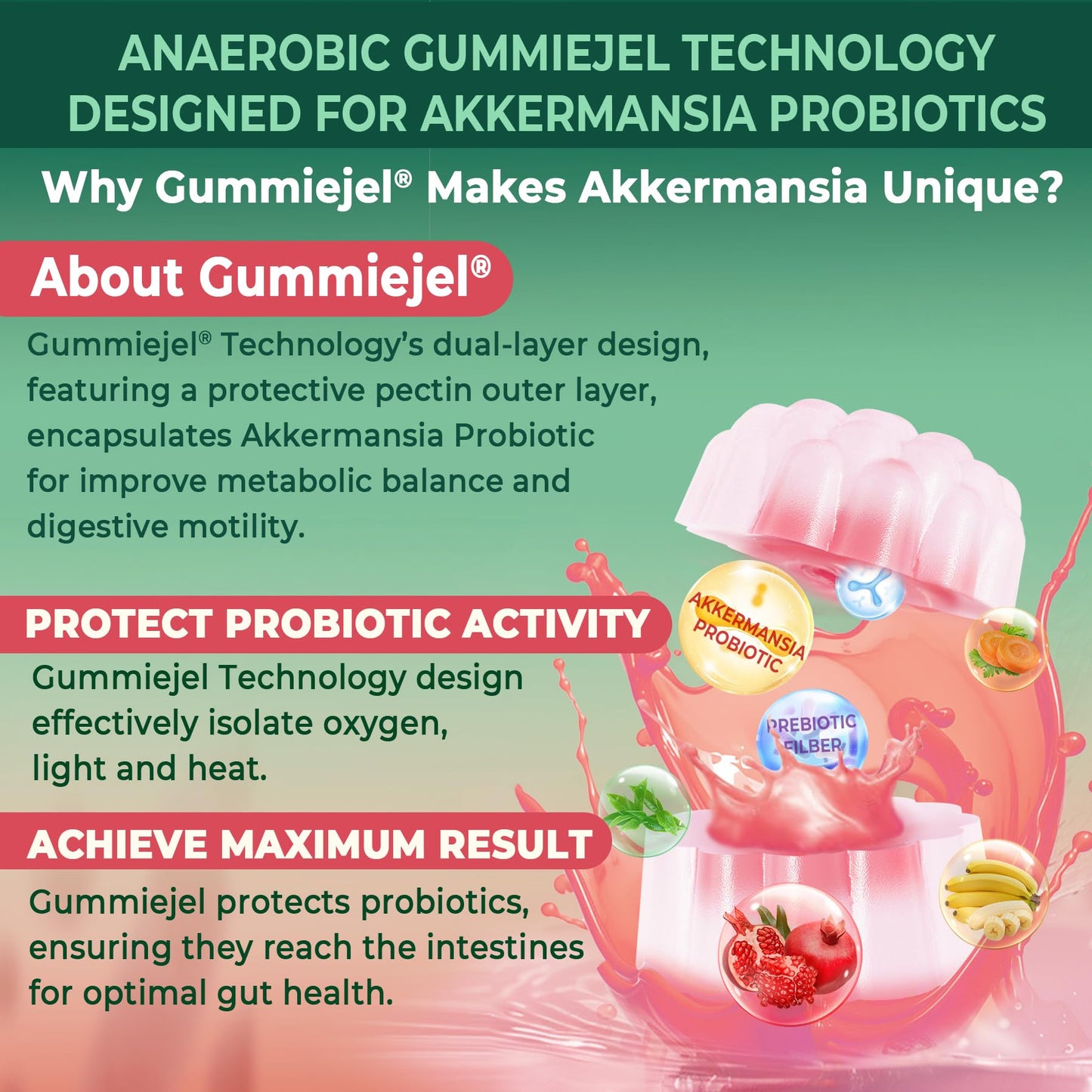 Nextdia Akkermansia Probiotics Gummies with Prebiotics Fiber, GLP-1 Akkermansia Muciniphila Supplement with Polyphenol Fruits, Resistant Starch, Vitamin A D3 B2 for Metabolism, Digestive & Gut Health, 60 Gummies