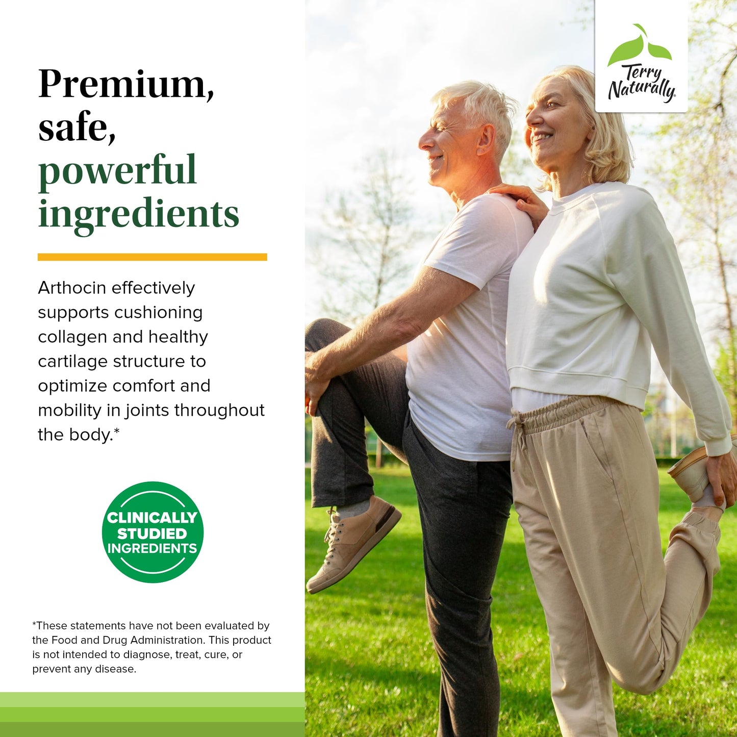 Terry Naturally Arthocin Boswellia Serrata Capsules with Devil's Claw & Curcumin - Joint & Spine Support - 120 Capsules