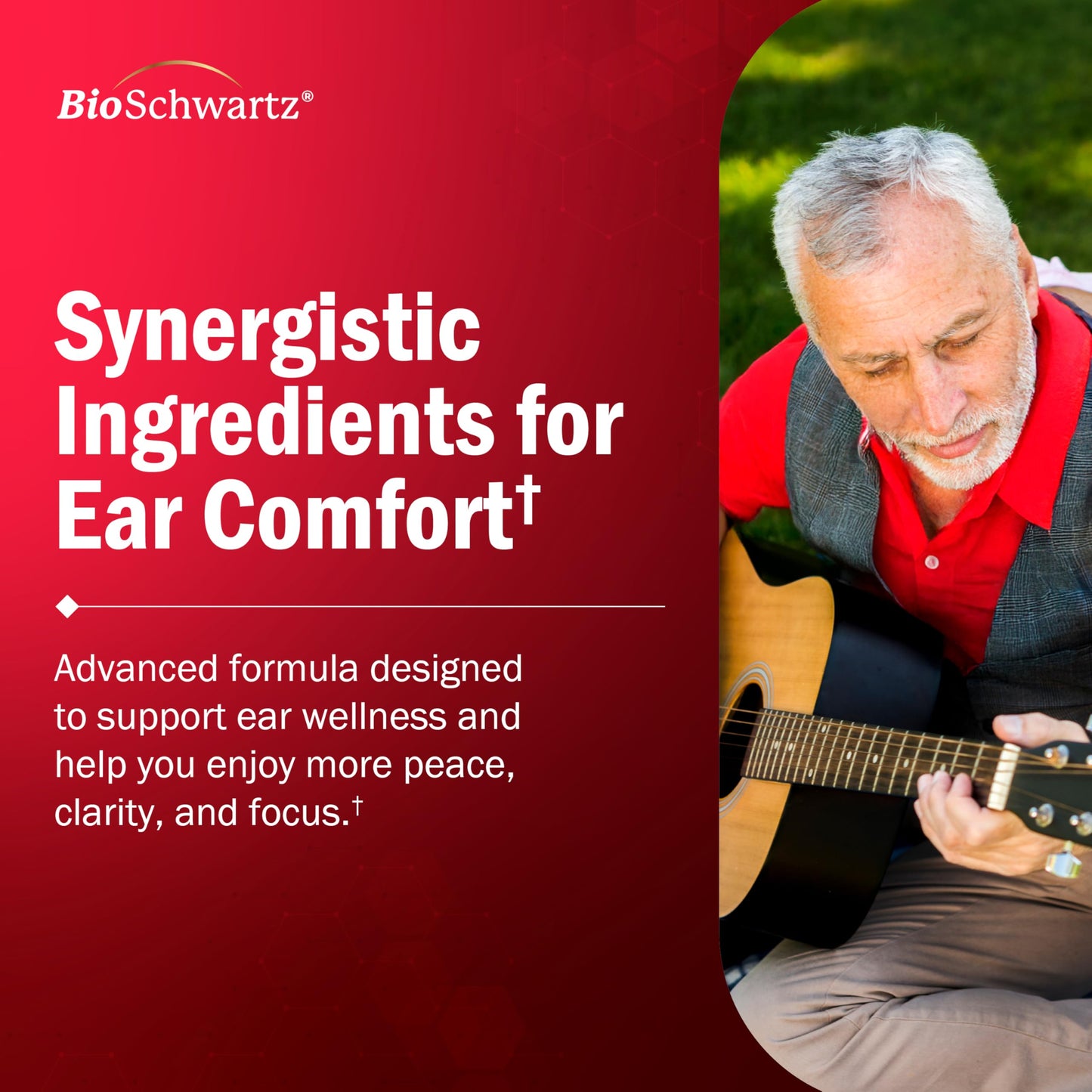 BioSchwartz Ear Ringing Support Supplement 90 Capsules