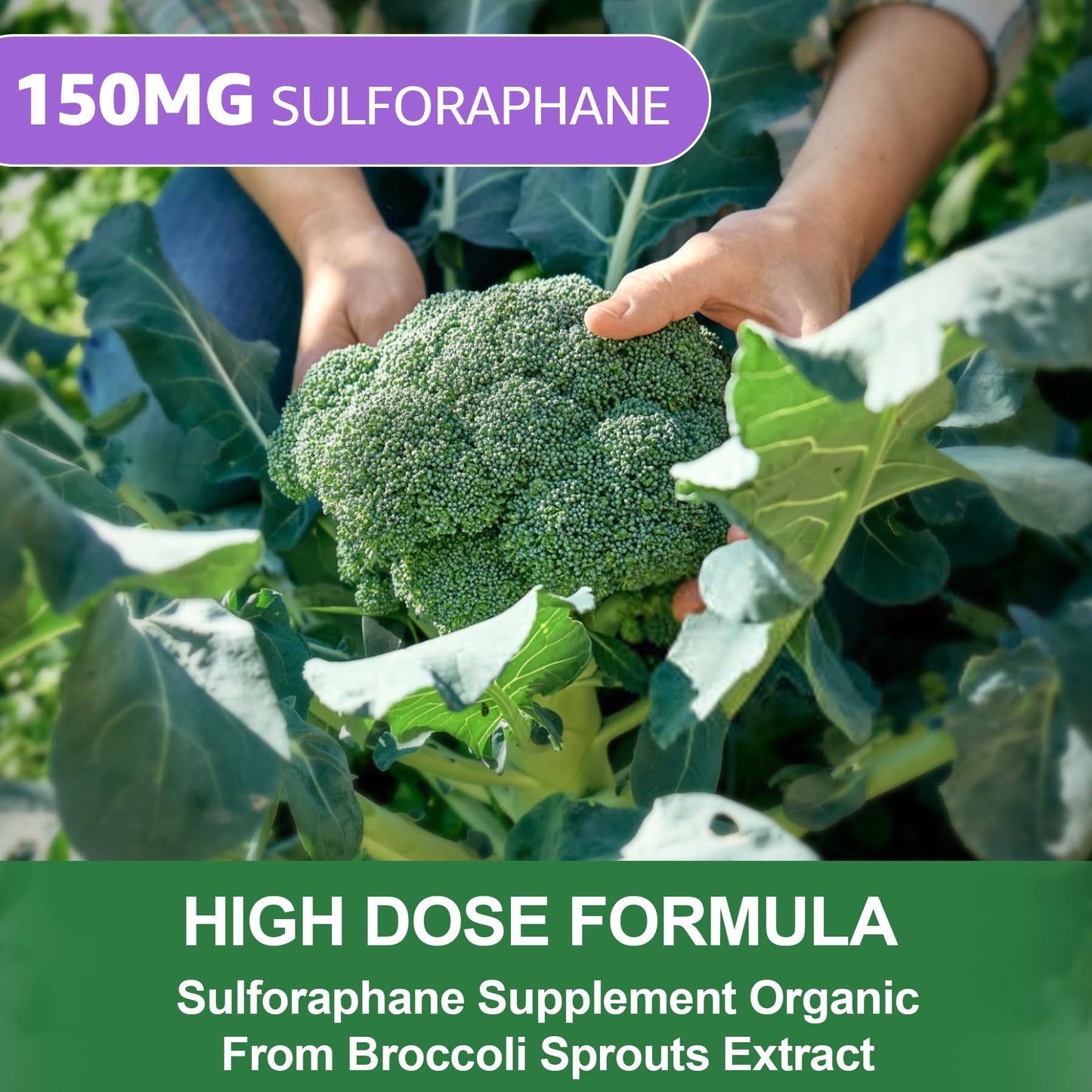 Nextdia 150mg Liposomal Sulforaphane Gummies + Organic Blue Spirulina Gummies, 120 Gummies