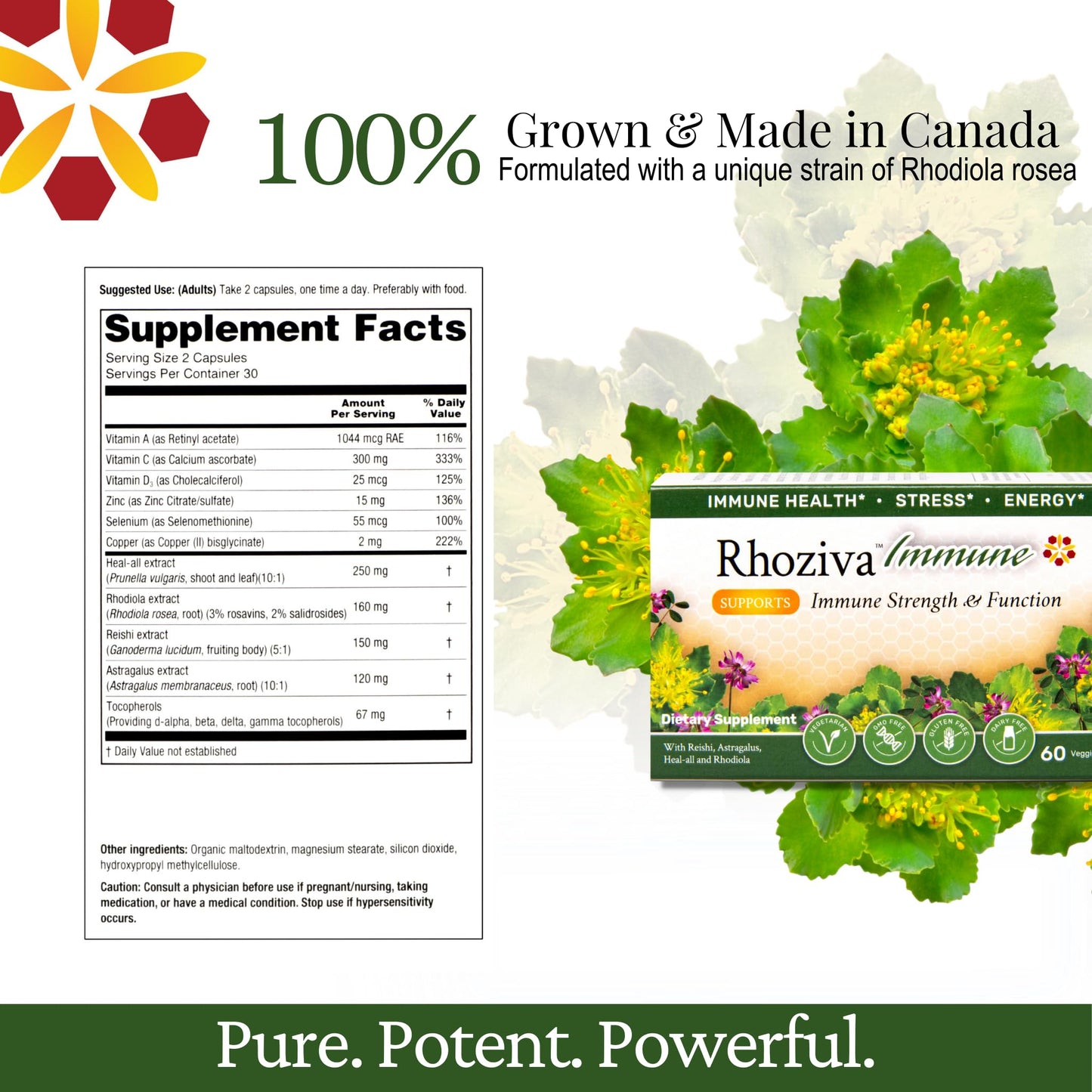 Rhoziva Immune Support, Energy Booster with Vitamin C, D3 and Zinc Supplement, Rhodiola Rosea, Reishi Mushroom Extract, Astragalus, Overall Wellness and Daily Habit 60 Capsules